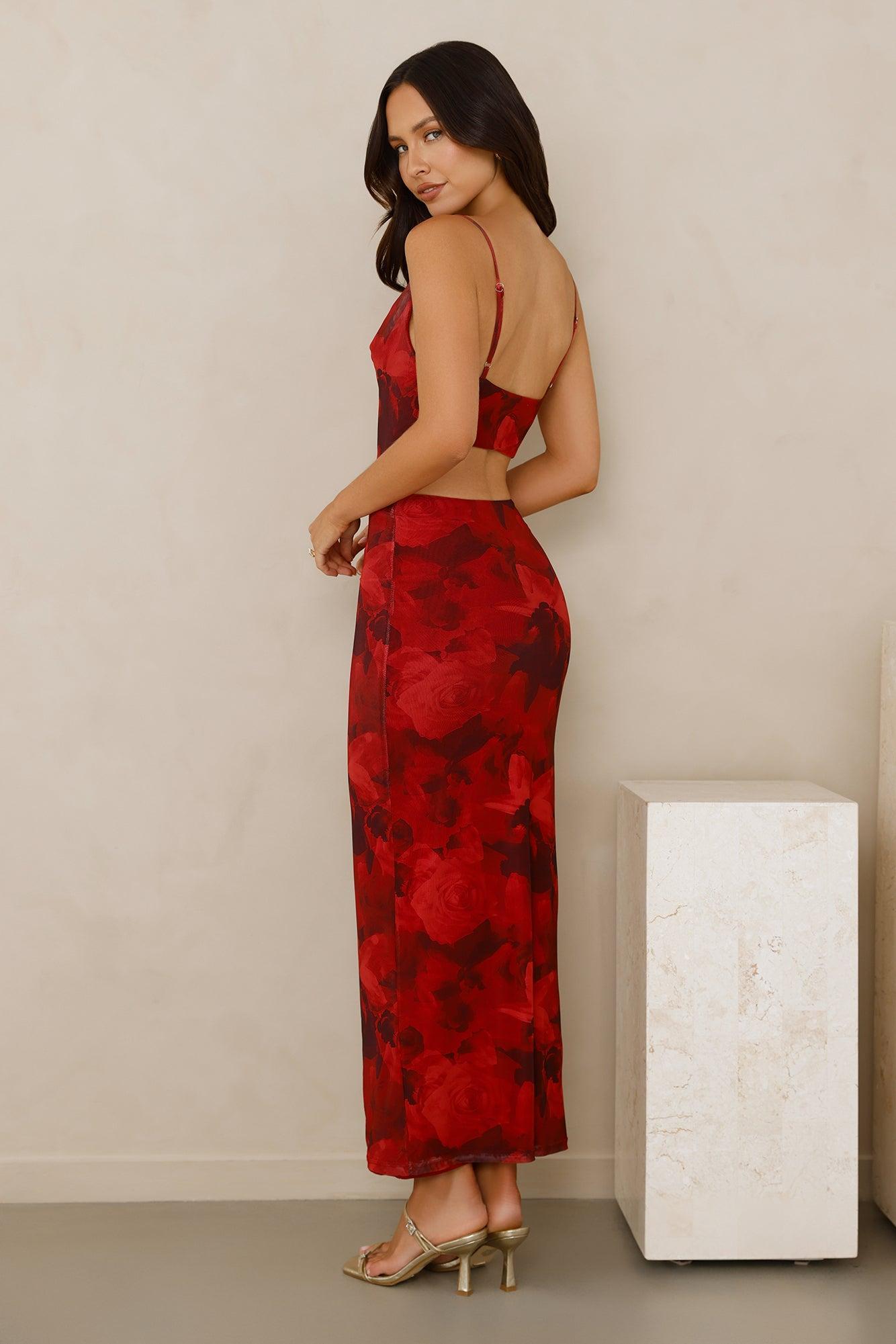 Peach Fling Mesh Maxi Dress Red Product Image