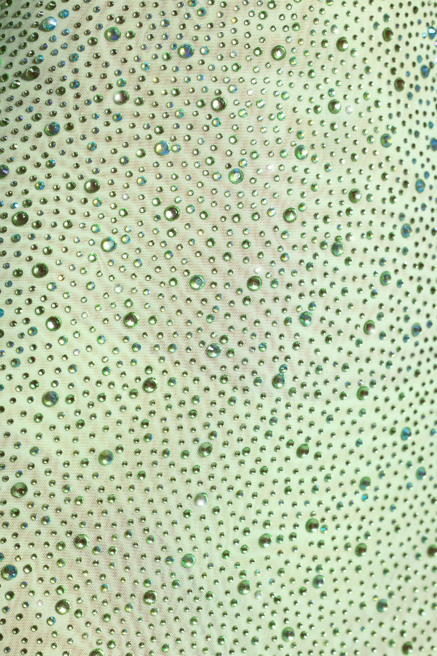 Embellished Fishtail Maxi Dress in Pistachio Product Image