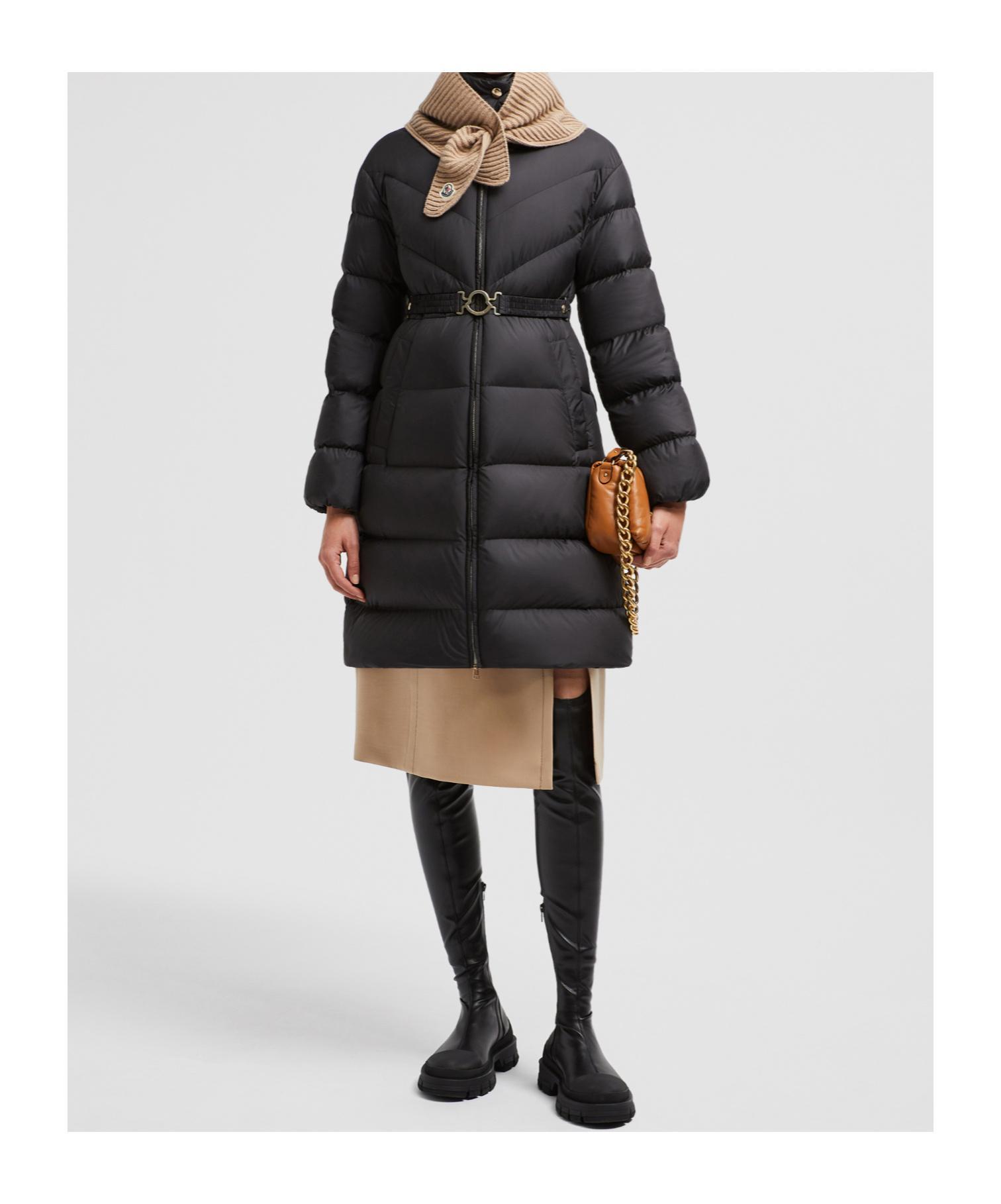 MONCLER Brou Brushed Nylon Puffer Coat In Black Product Image