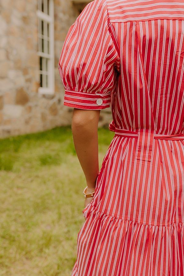 Picnic Date Stripe Midi Dress Product Image