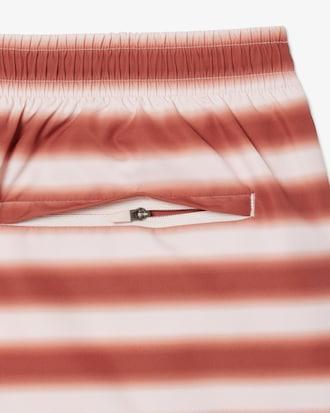 Striped Swim Trunks Product Image