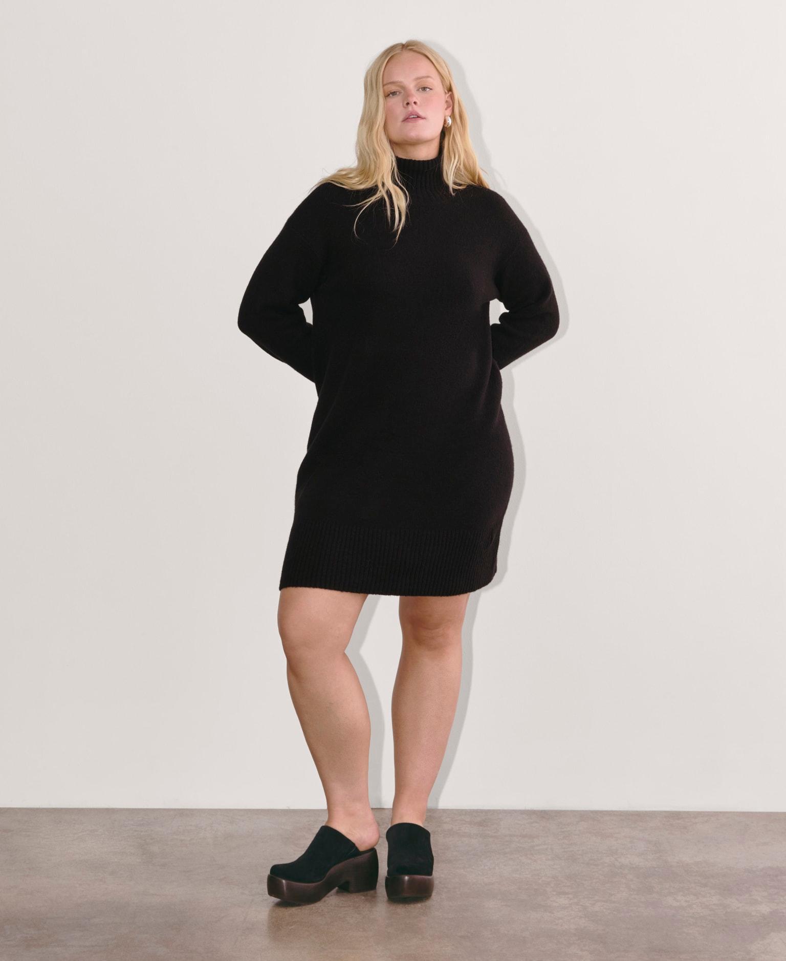 Womens Sweater Dress in Plush Cotton by Everlane Product Image