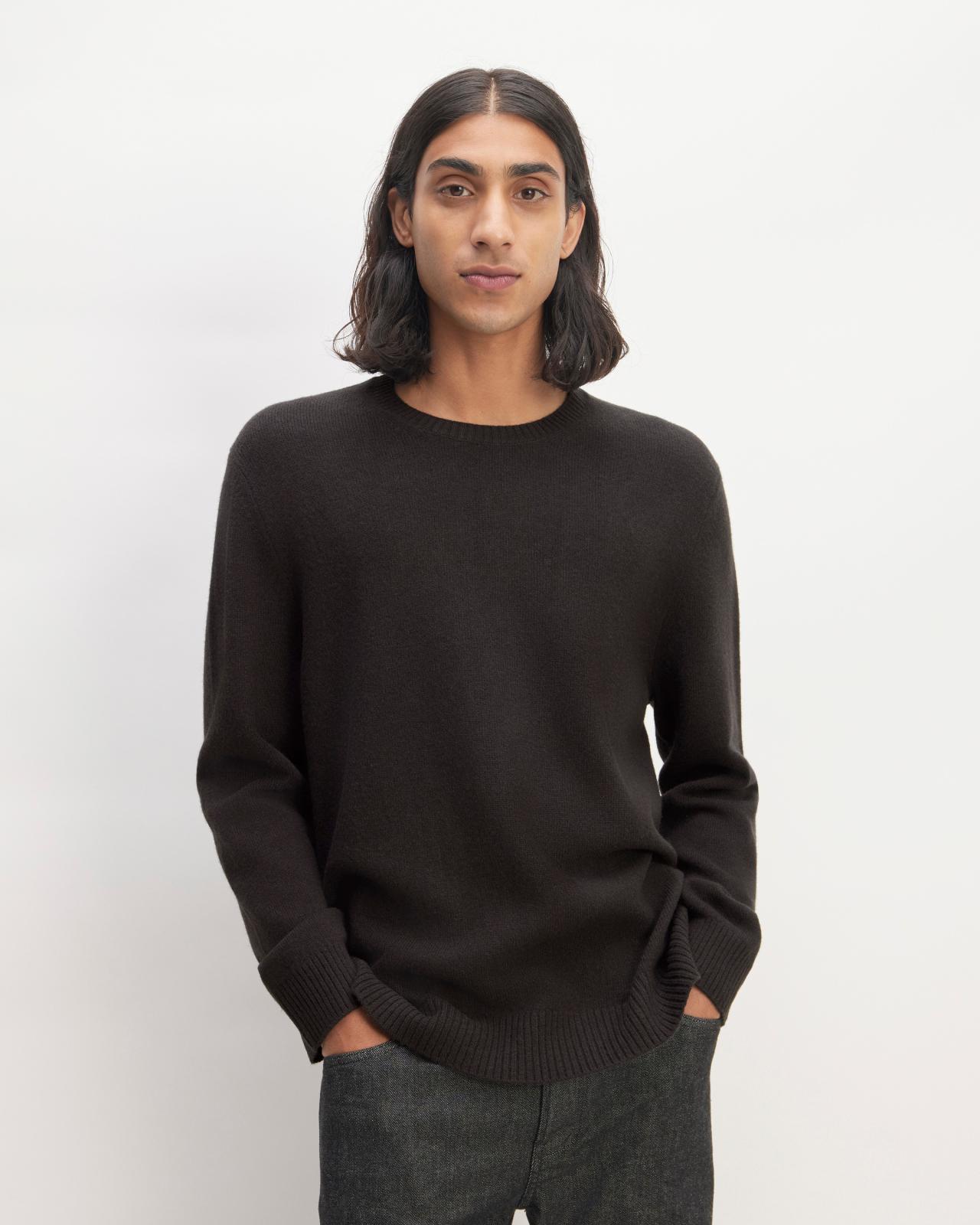 Mens Premium Merino Crew Neck Sweater by Everlane Product Image