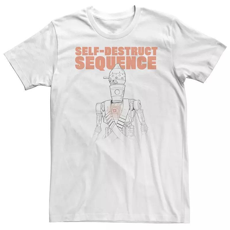 Big & Tall Star Wars The Mandalorian IG-11 Self-Destruct Sequence Tee, Mens Product Image