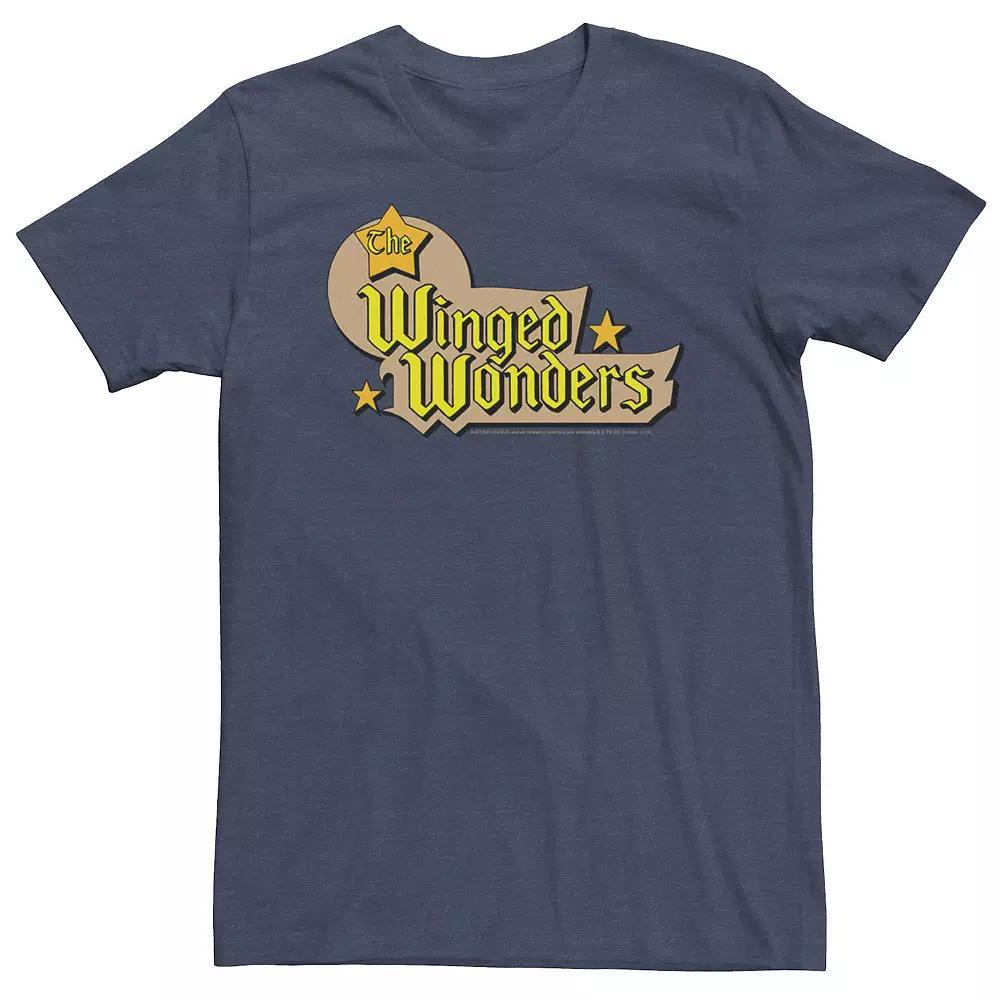Big & Tall DC Comics The Winged Wonders Text Logo Tee, Men's,  Product Image