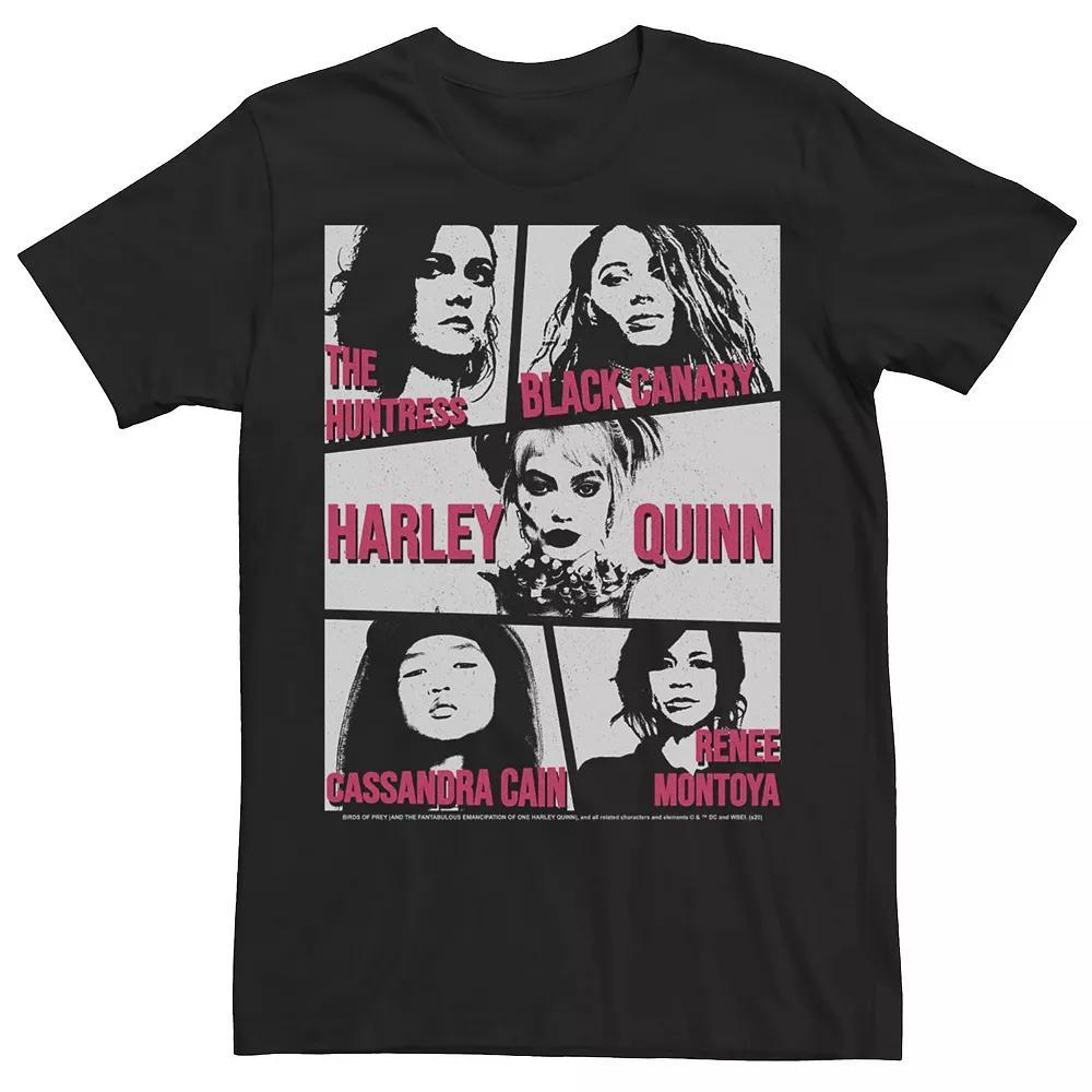 Men's Birds Of Prey Character Box Up Tee,  Product Image