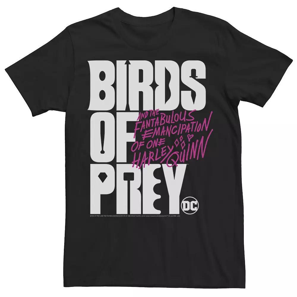 Men's Harley Quinn: Birds of Prey Stacked Text Logo Tee,  Product Image