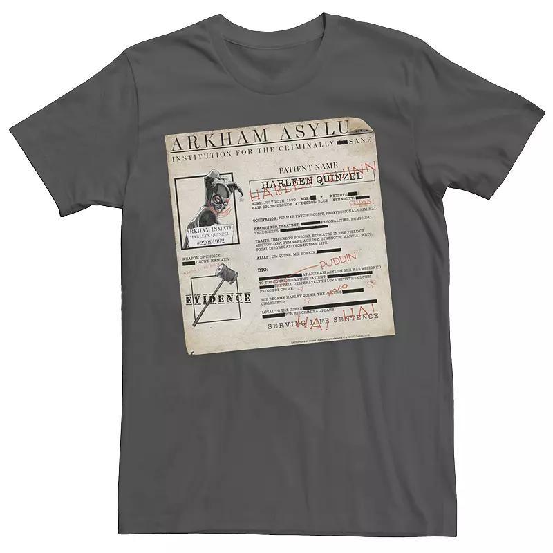 Mens Batman Harley Quinn Akham Asylum Records Tee Grey Product Image