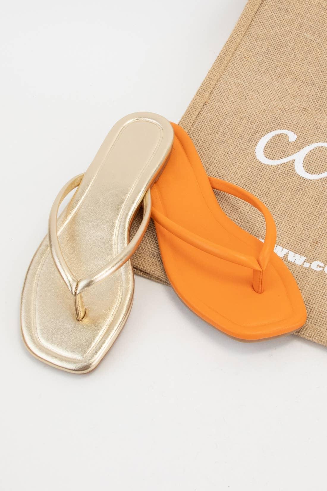 Silver Thong Sandal Product Image