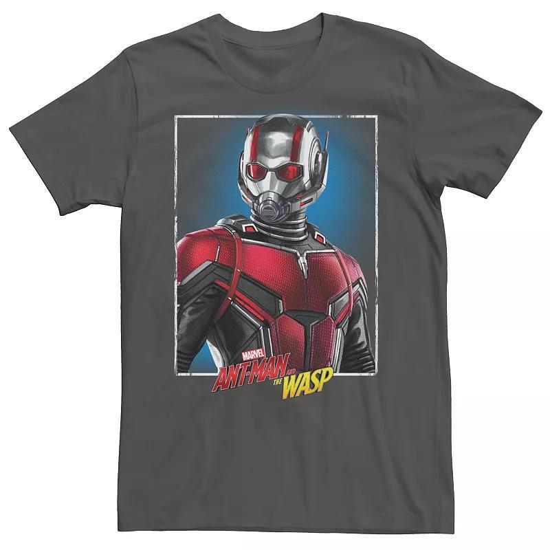 Men's Marvel Ant-Man & the Wasp Close-Up Graphic Tee, Size: Small, Grey Product Image