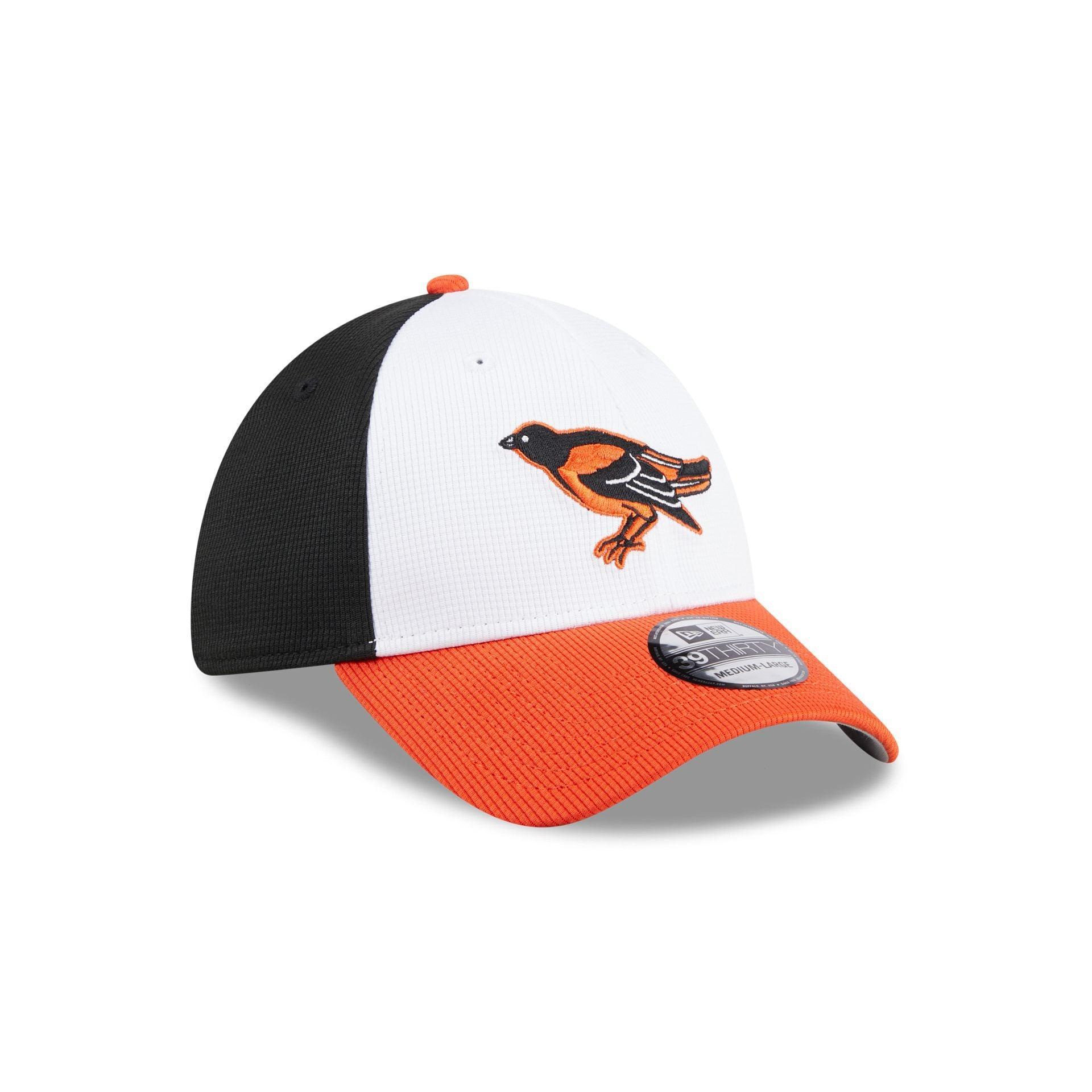 Baltimore Orioles 2025 Batting Practice 39THIRTY Stretch Fit Male Product Image
