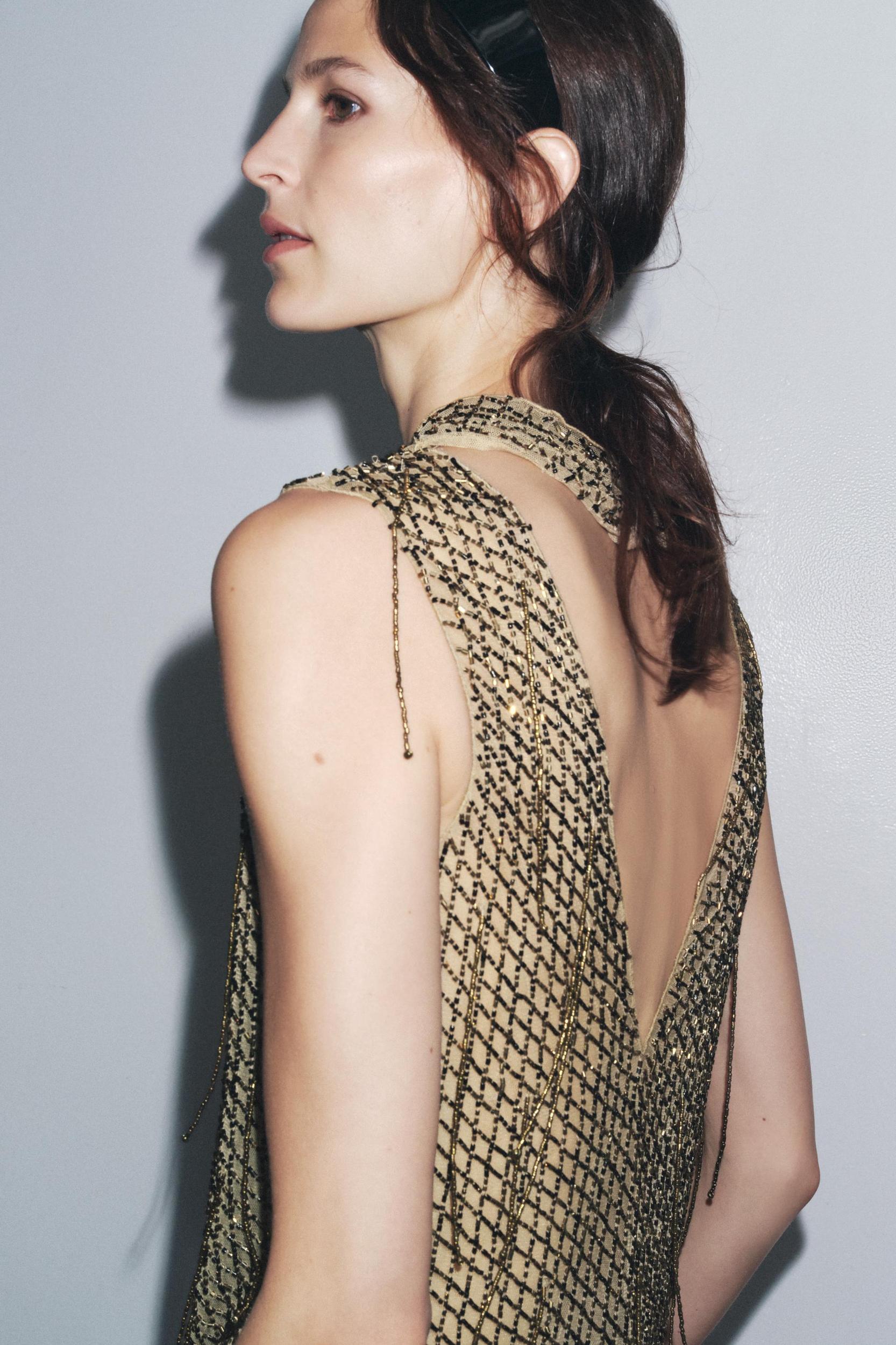 EMBROIDERED BEADED MINI DRESS Product Image