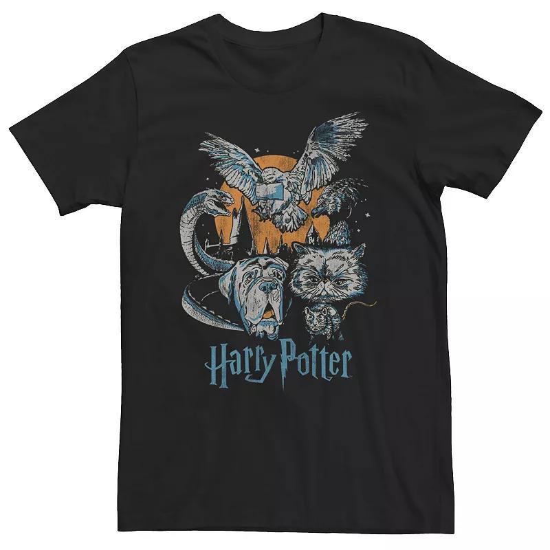 Big & Tall Harry Potter Familiar Sketch Portrait Tee, Men's, Size: Large Tall, Black Product Image