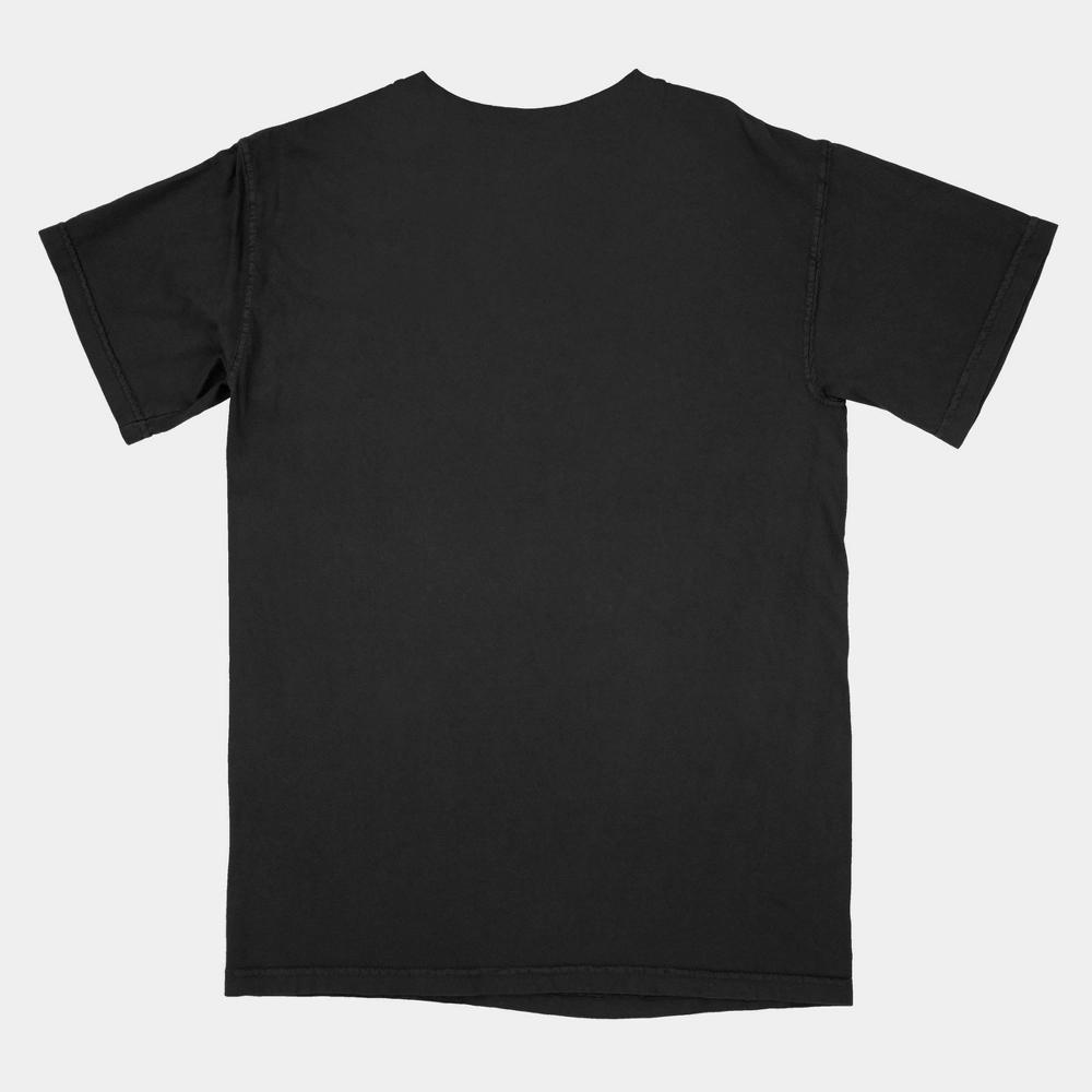 Mens PlayStation Short Sleeve Graphic T-Shirt - Black Product Image