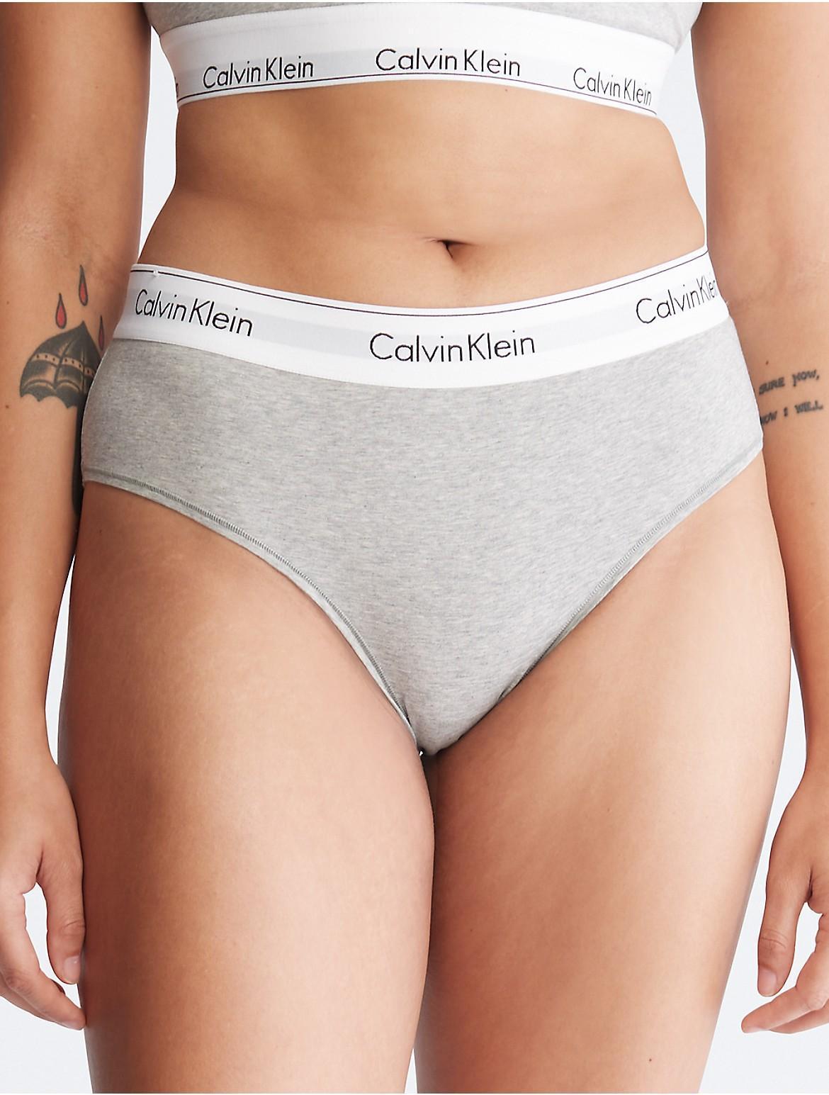 Calvin Klein Womens Icon Cotton Modal Plus Hipster - Grey Product Image