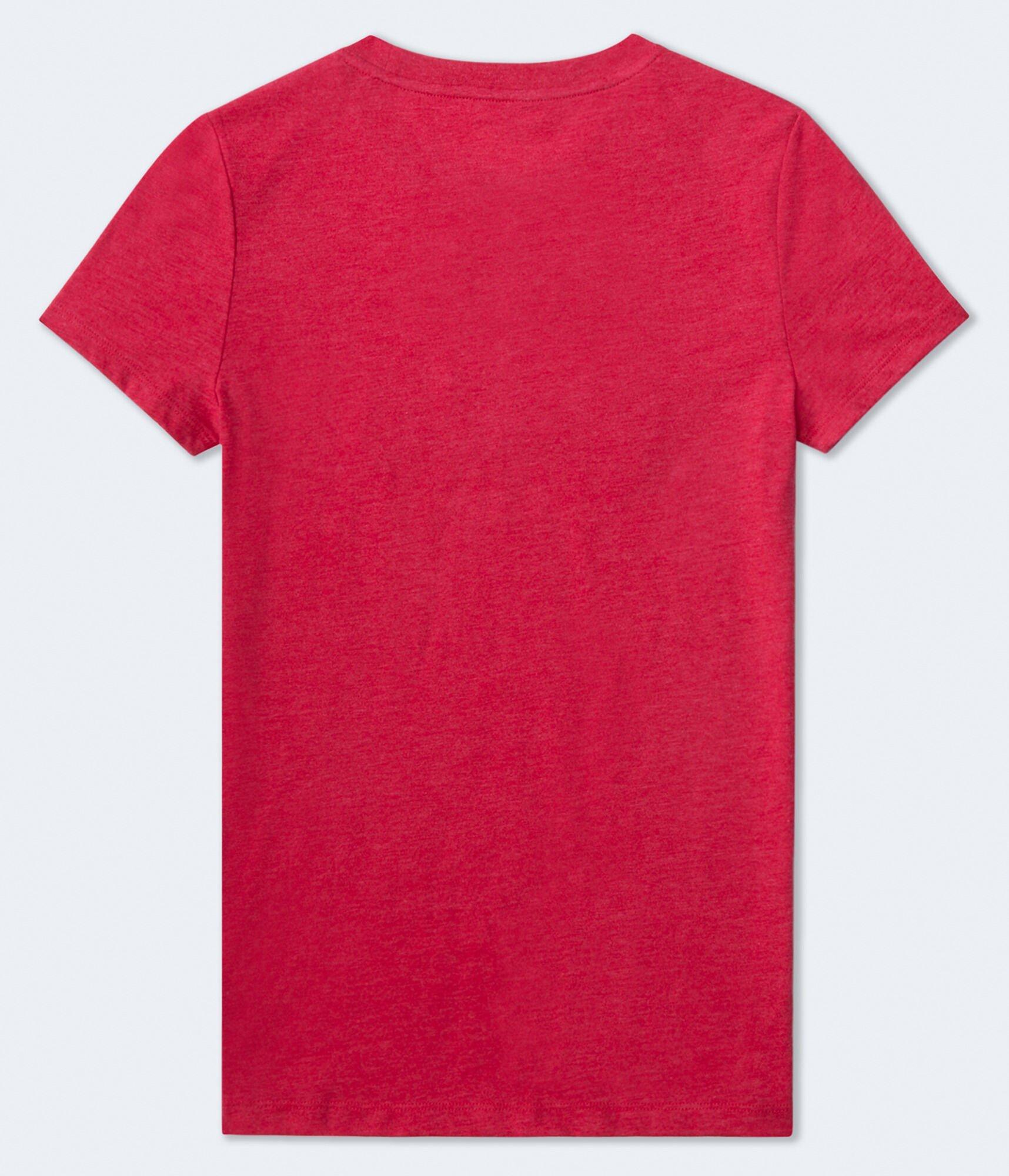 Aero New York Appliqué Graphic Tee Product Image