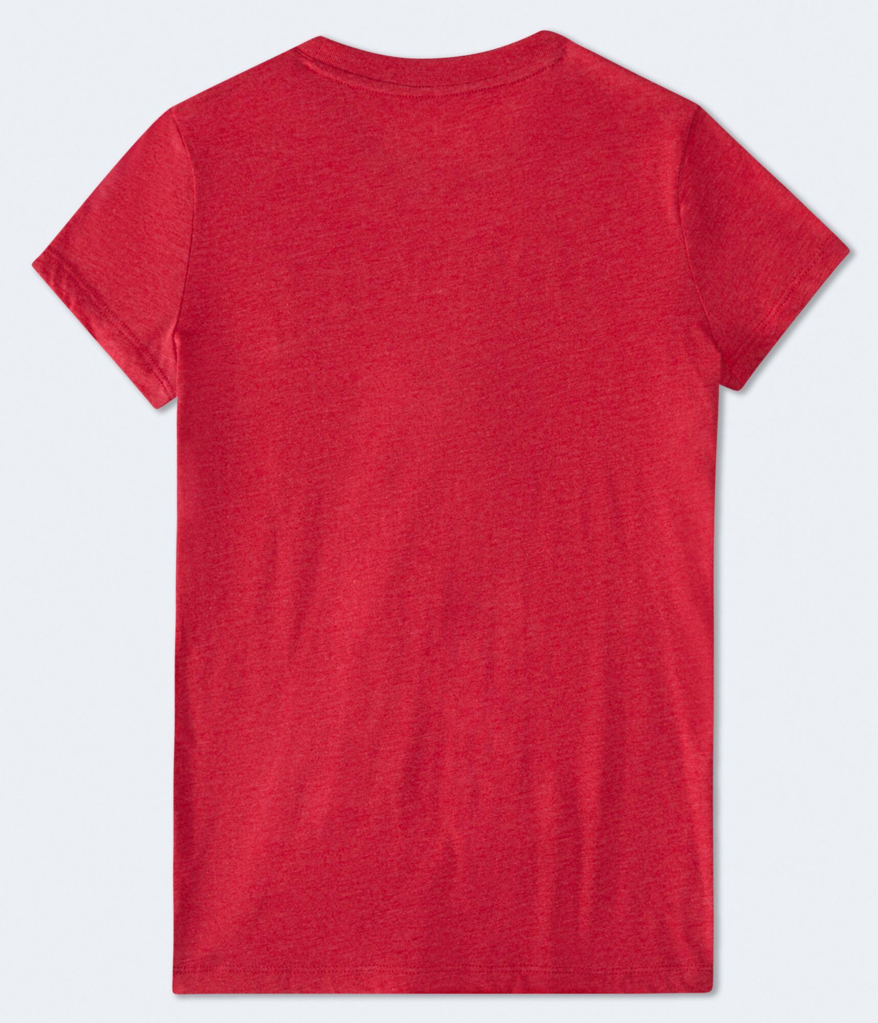 Aeropostale St. Moritz Graphic Tee Product Image