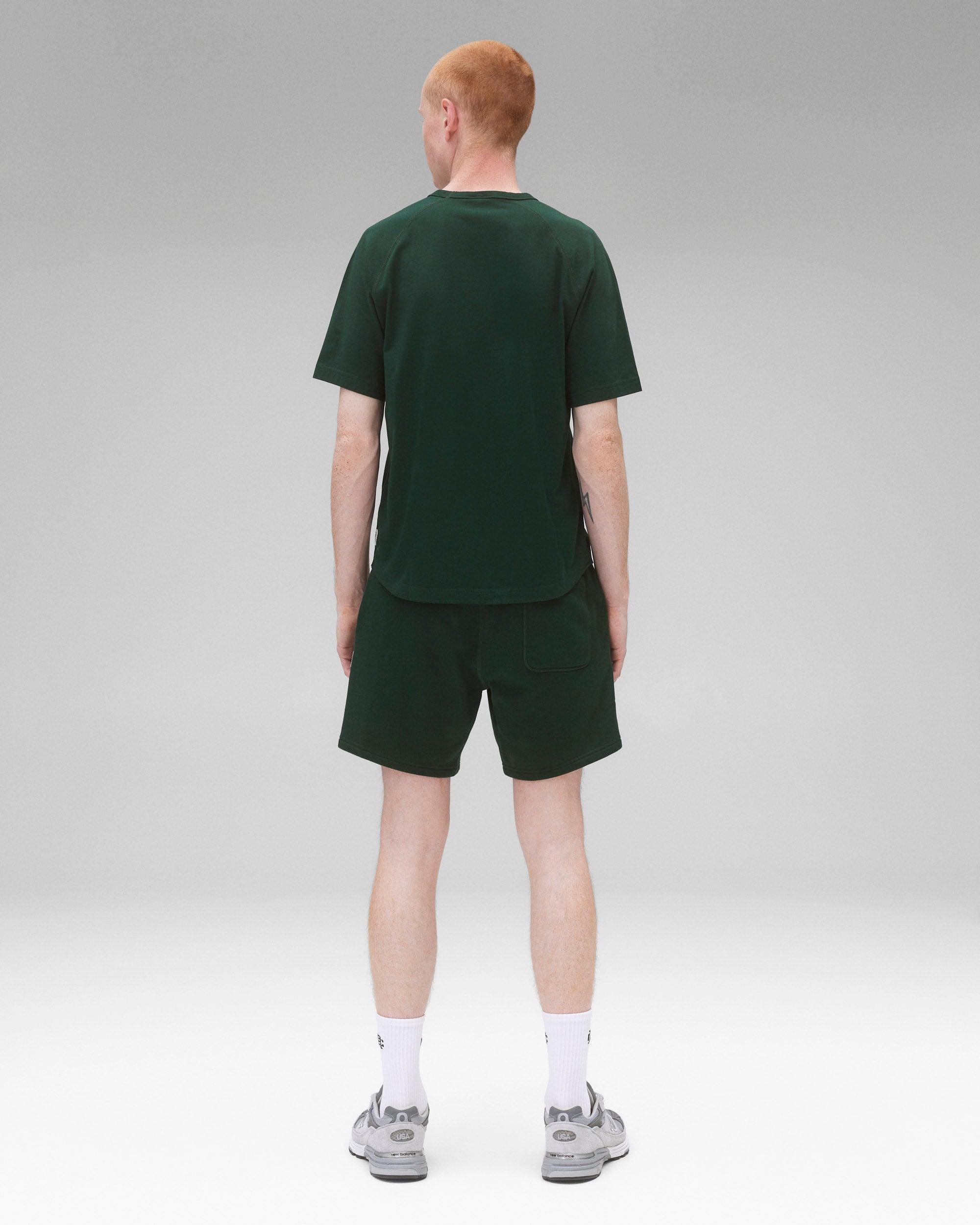 Lightweight Jersey Standard Raglan T-Shirt Male Product Image