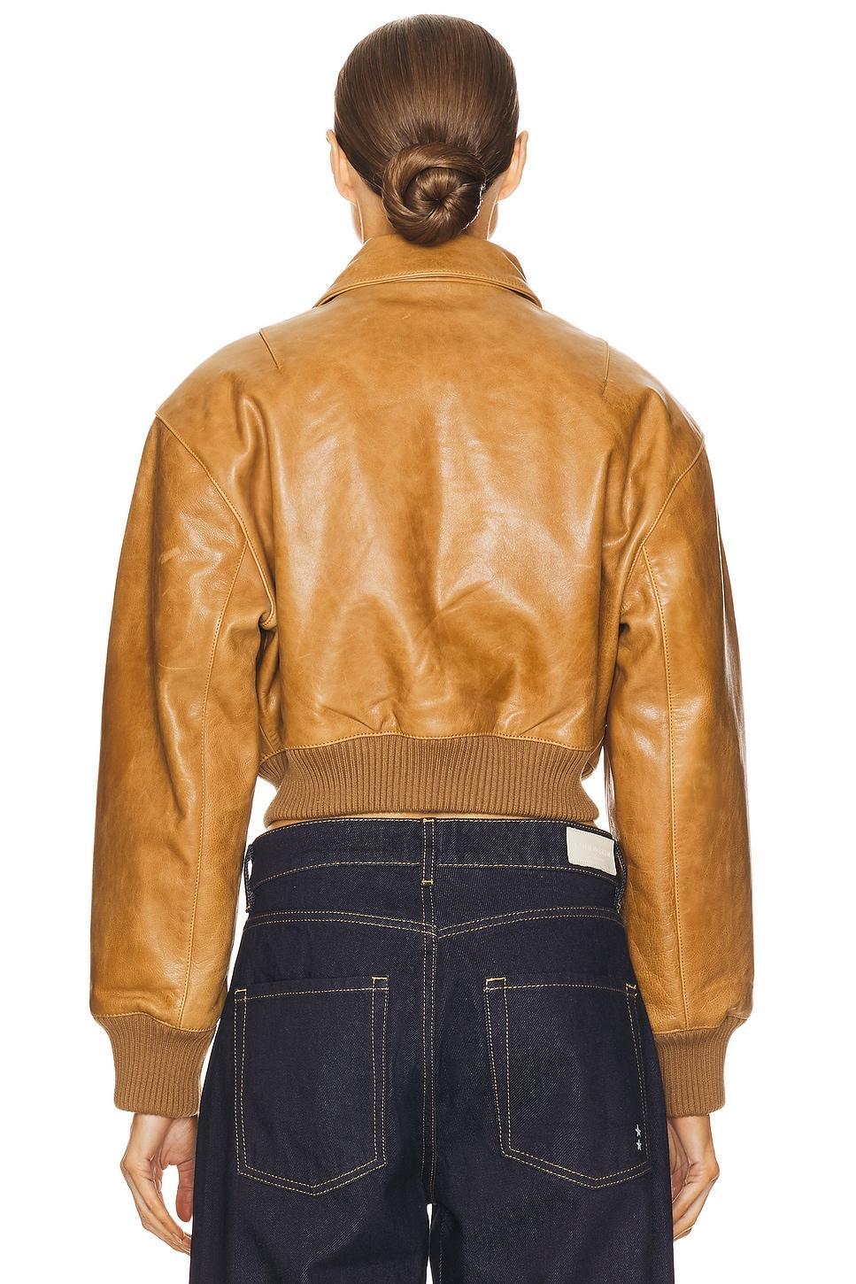 The Leather Bomber Jacket Helsa Product Image