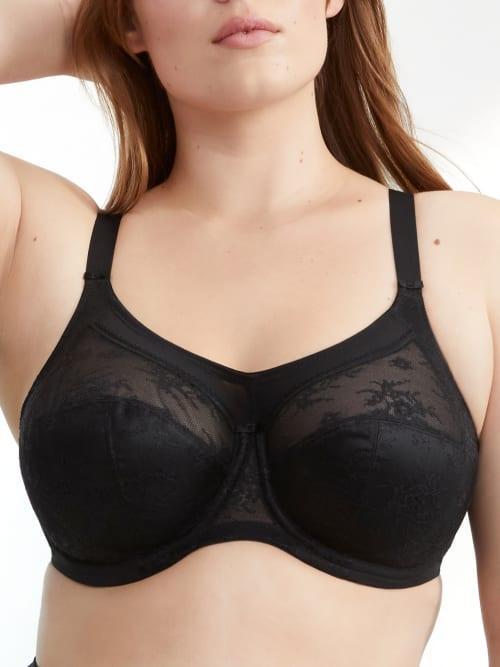 Verity Banded Full Coverage Bra Product Image