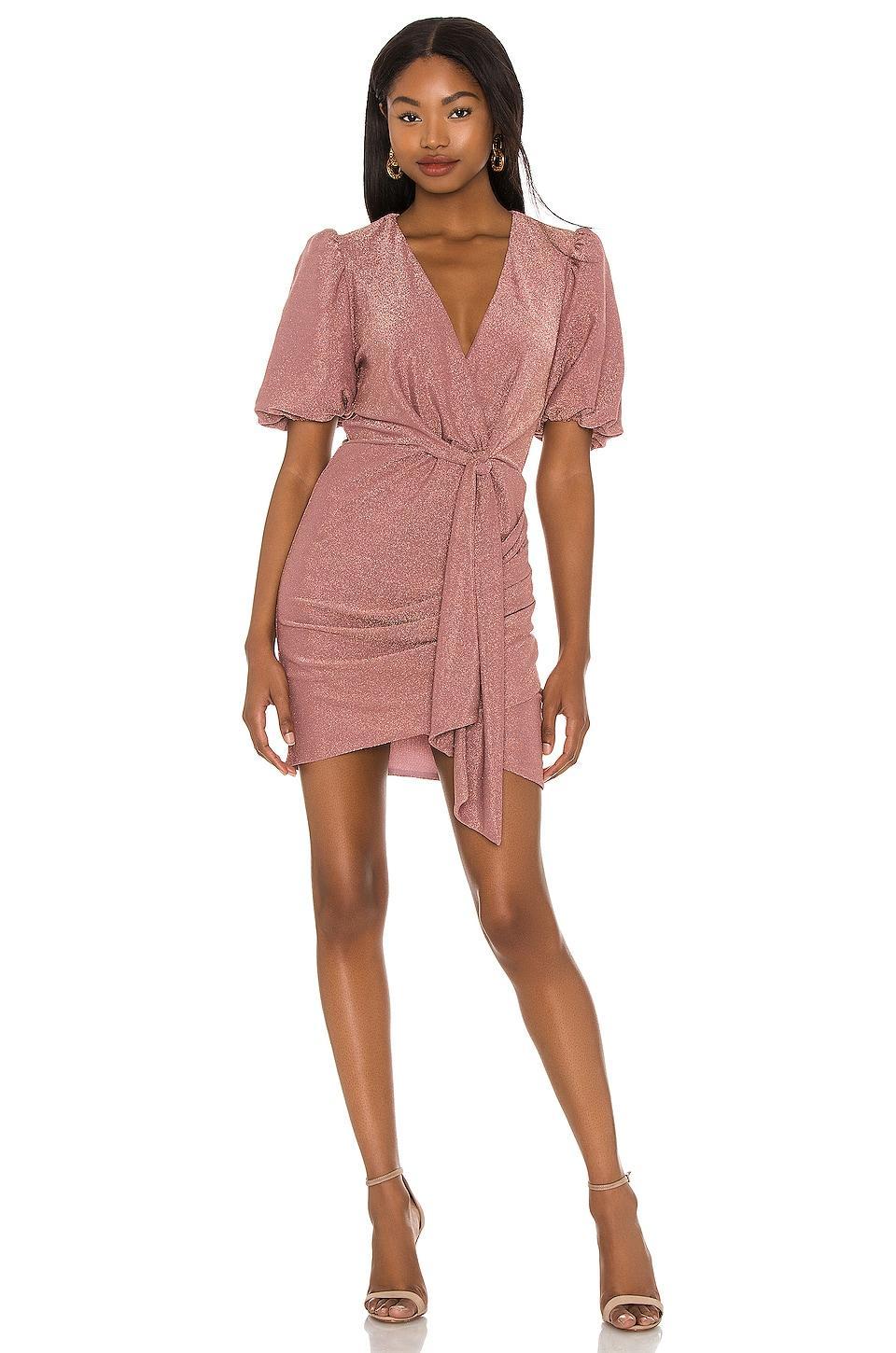 Deb Mini Dress SAYLOR Product Image