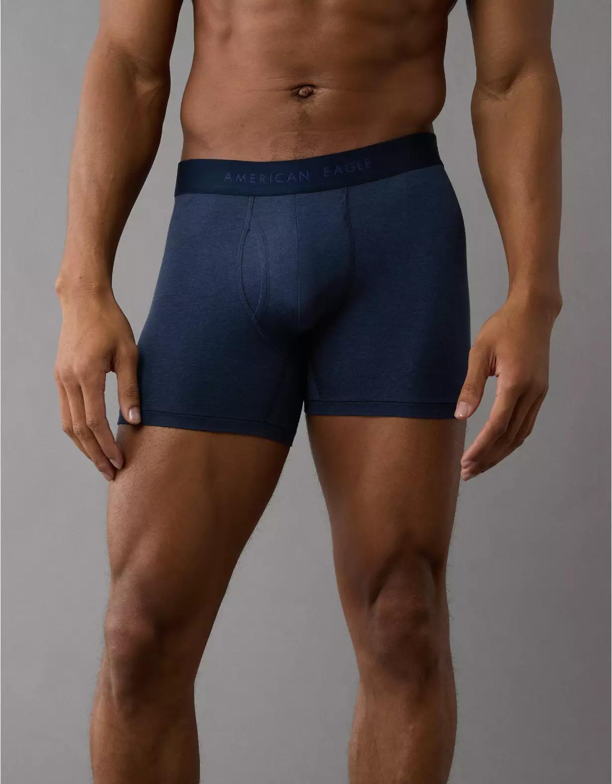 AEO Men's 4.5" Classic Boxer Brief Product Image