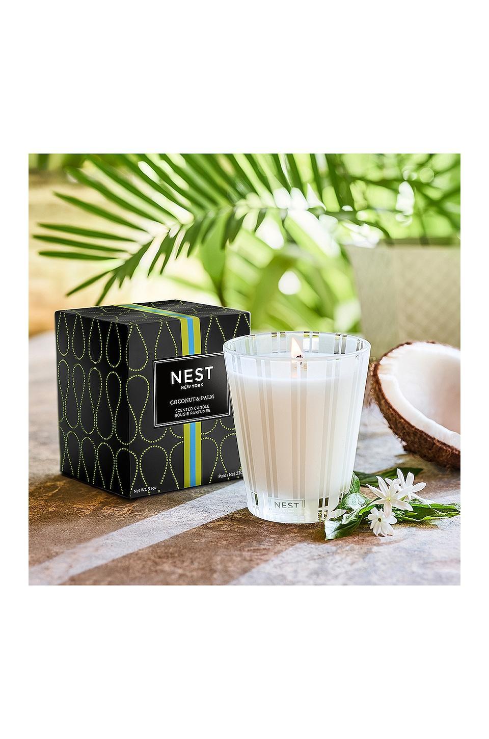 Coconut & Palm Classic Candle NEST New York Product Image