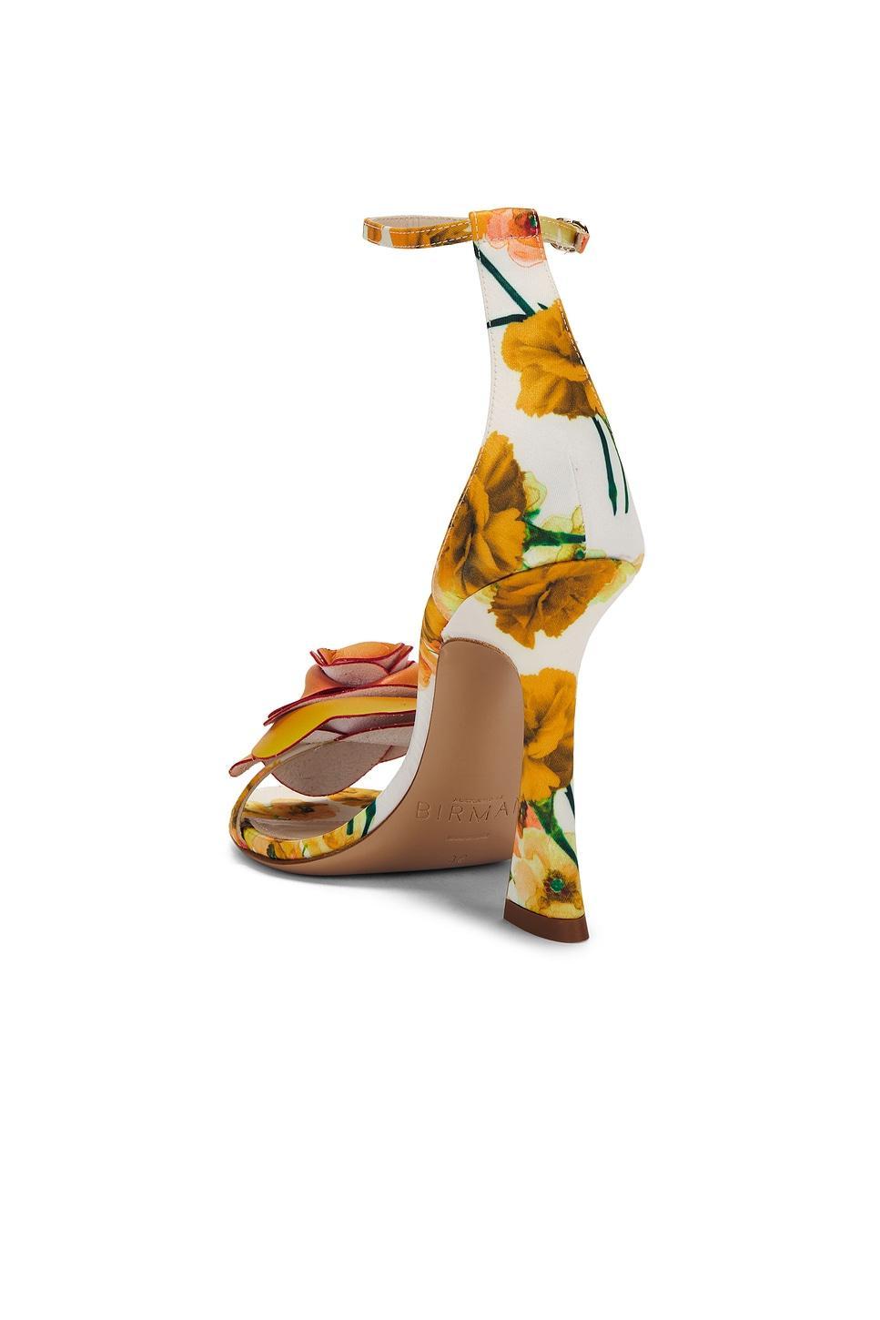 Dahlia Sandal Alexandre Birman Product Image