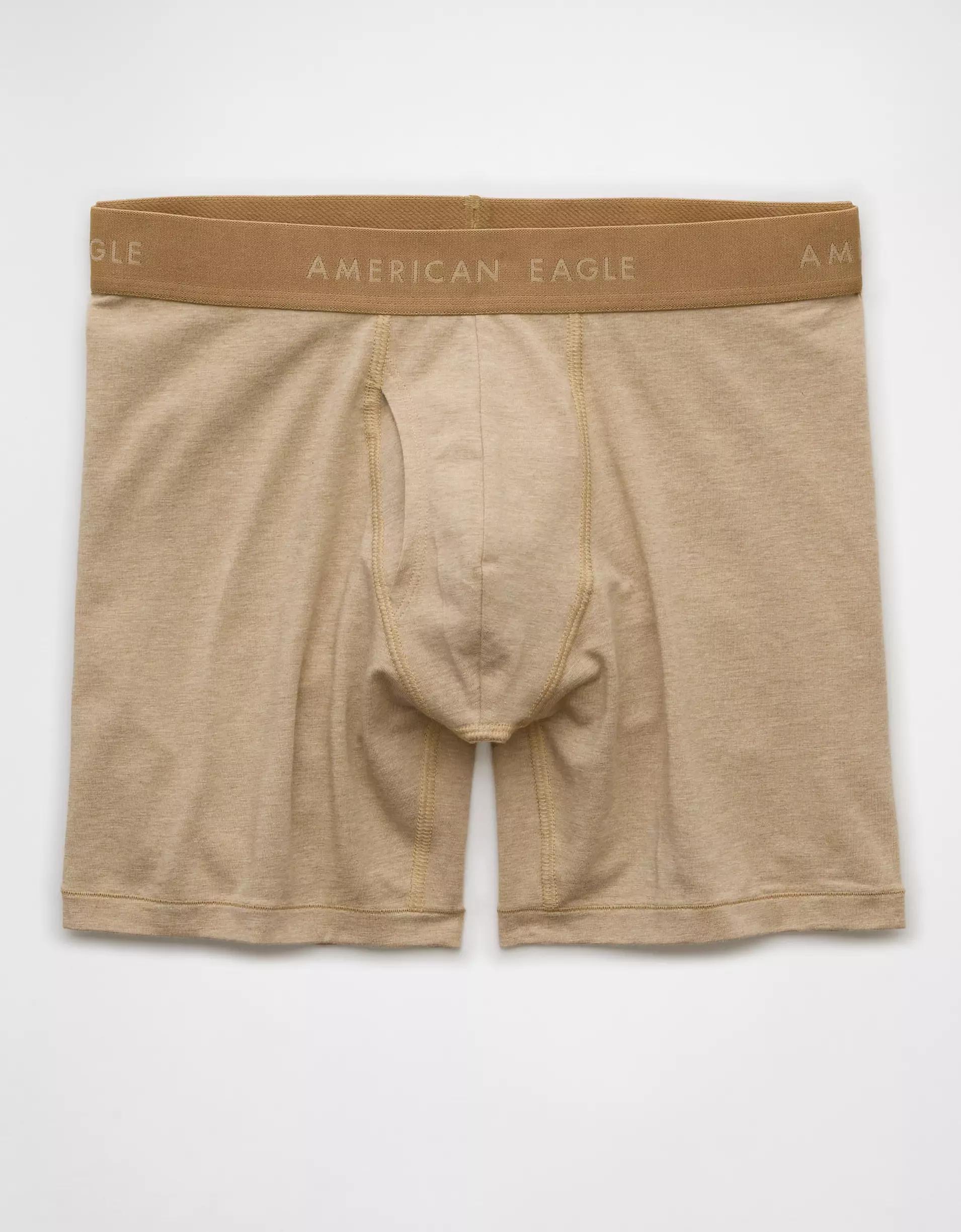 AEO Men's 6" Classic Boxer Brief Product Image