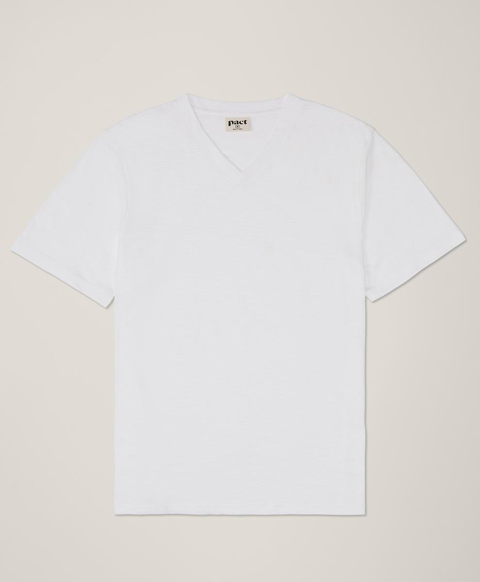 Mens Featherweight Slub V-Neck Tee L Product Image