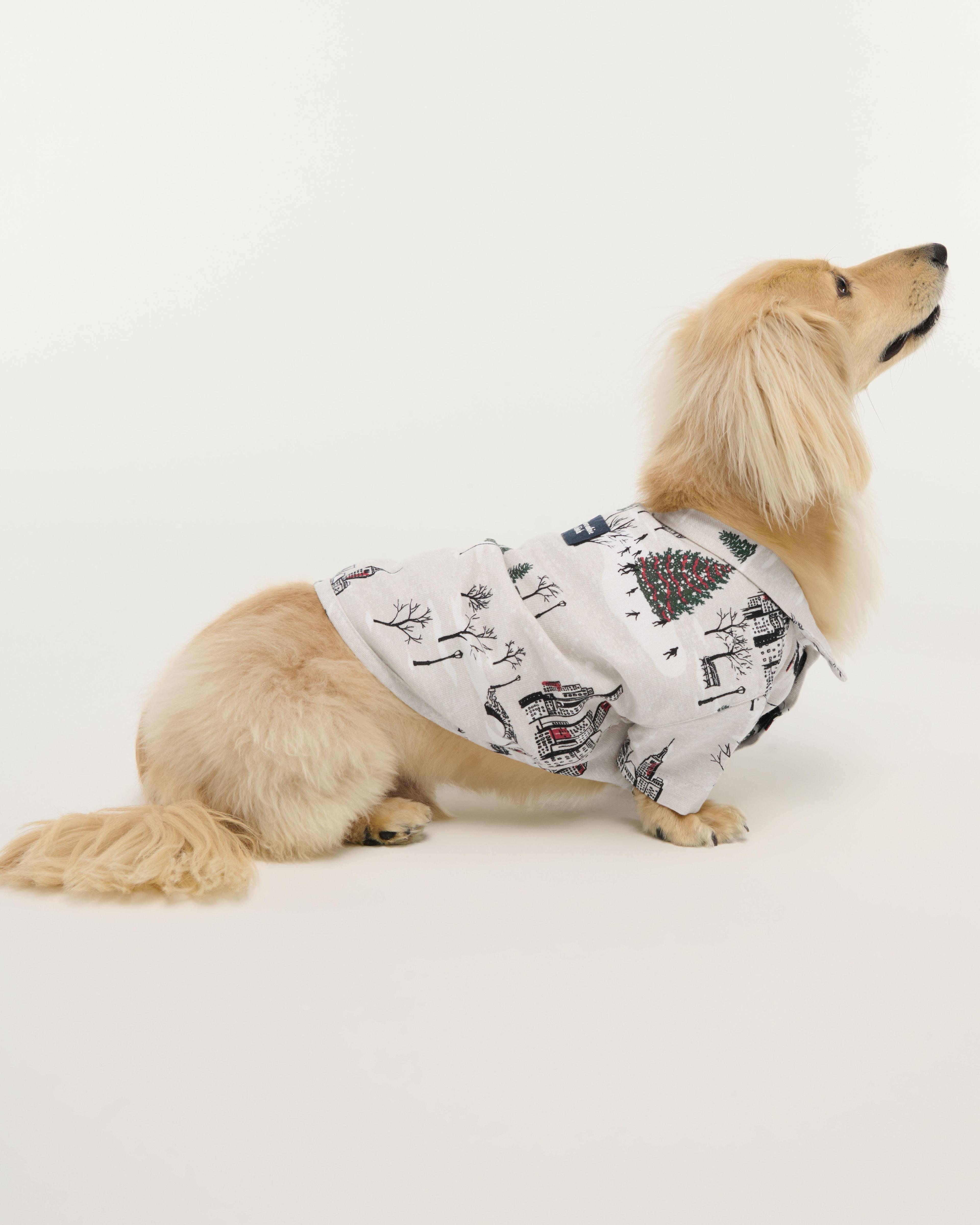 A&F Pet Sweater Product Image