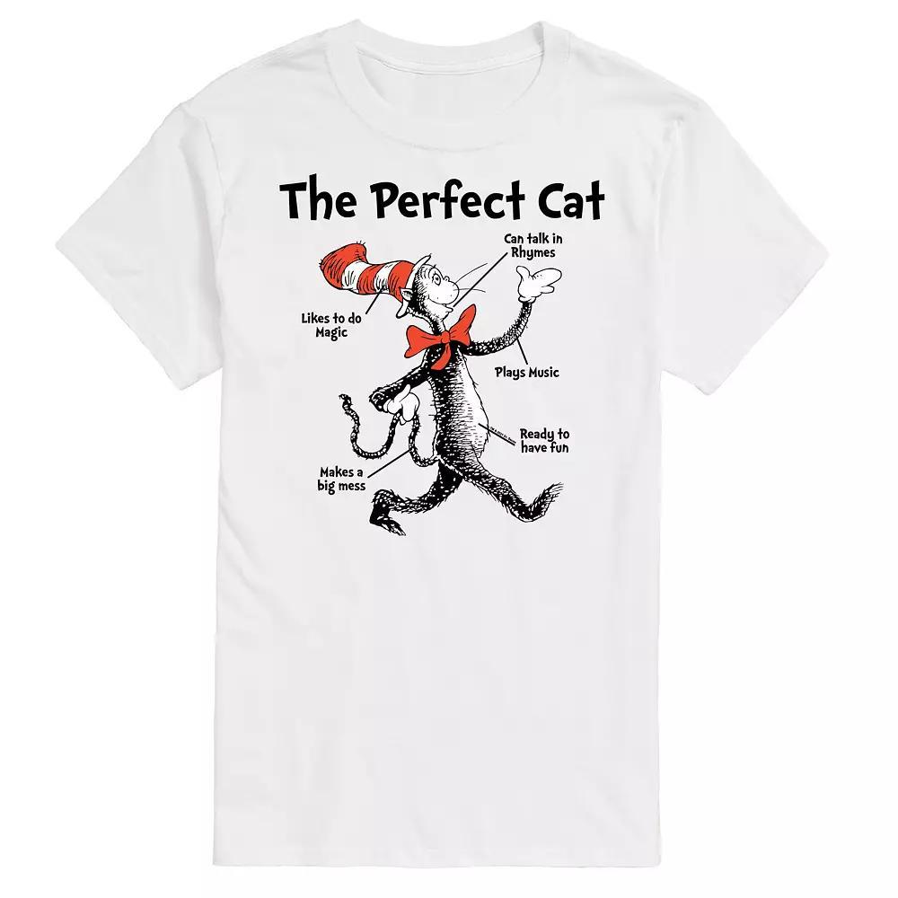 Big & Tall Dr Seuss Perfect Cat Tee, Men's, Size: XL Tall, Gray Product Image