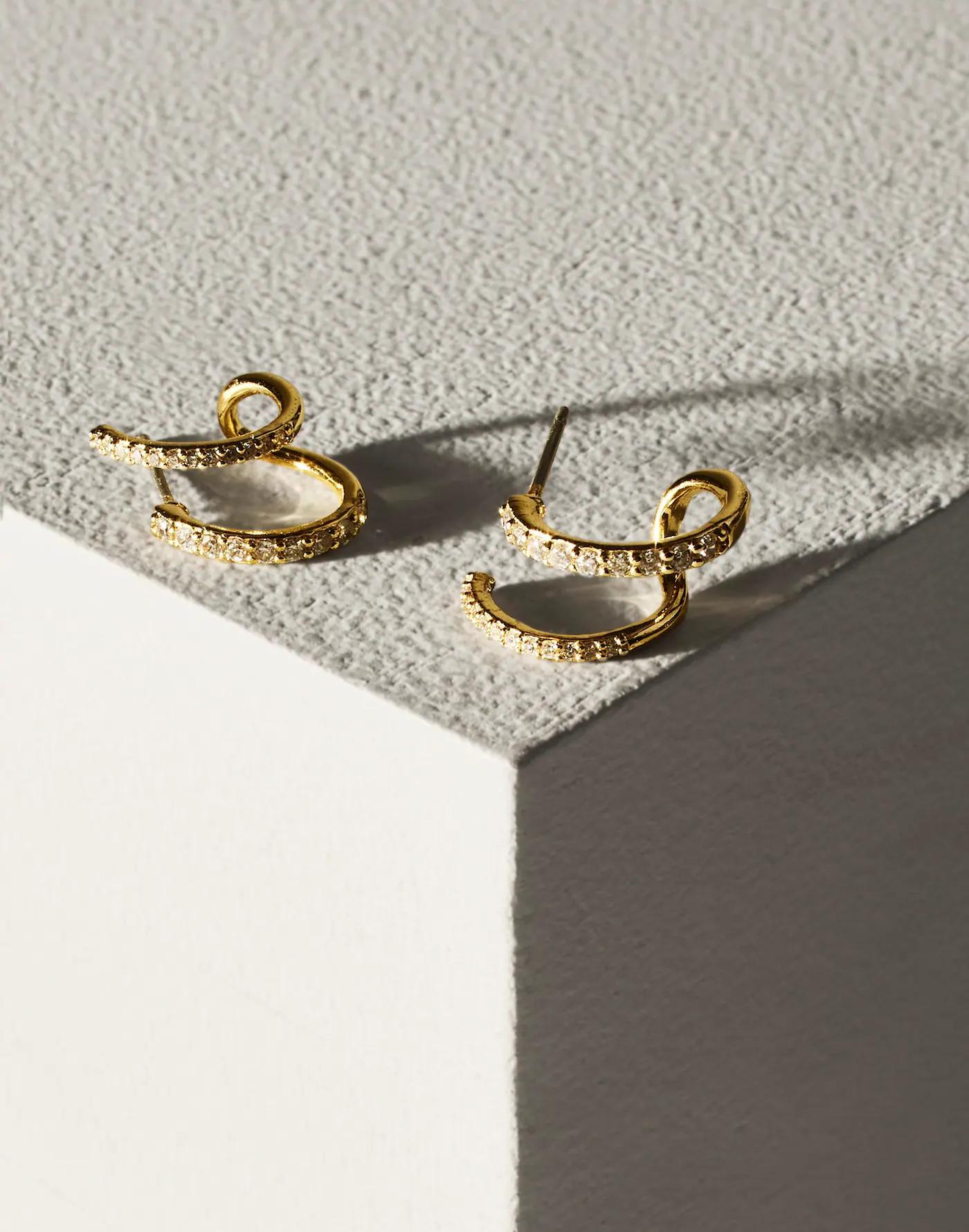 Demi-Fine Pavé Double Hoop Earrings Product Image