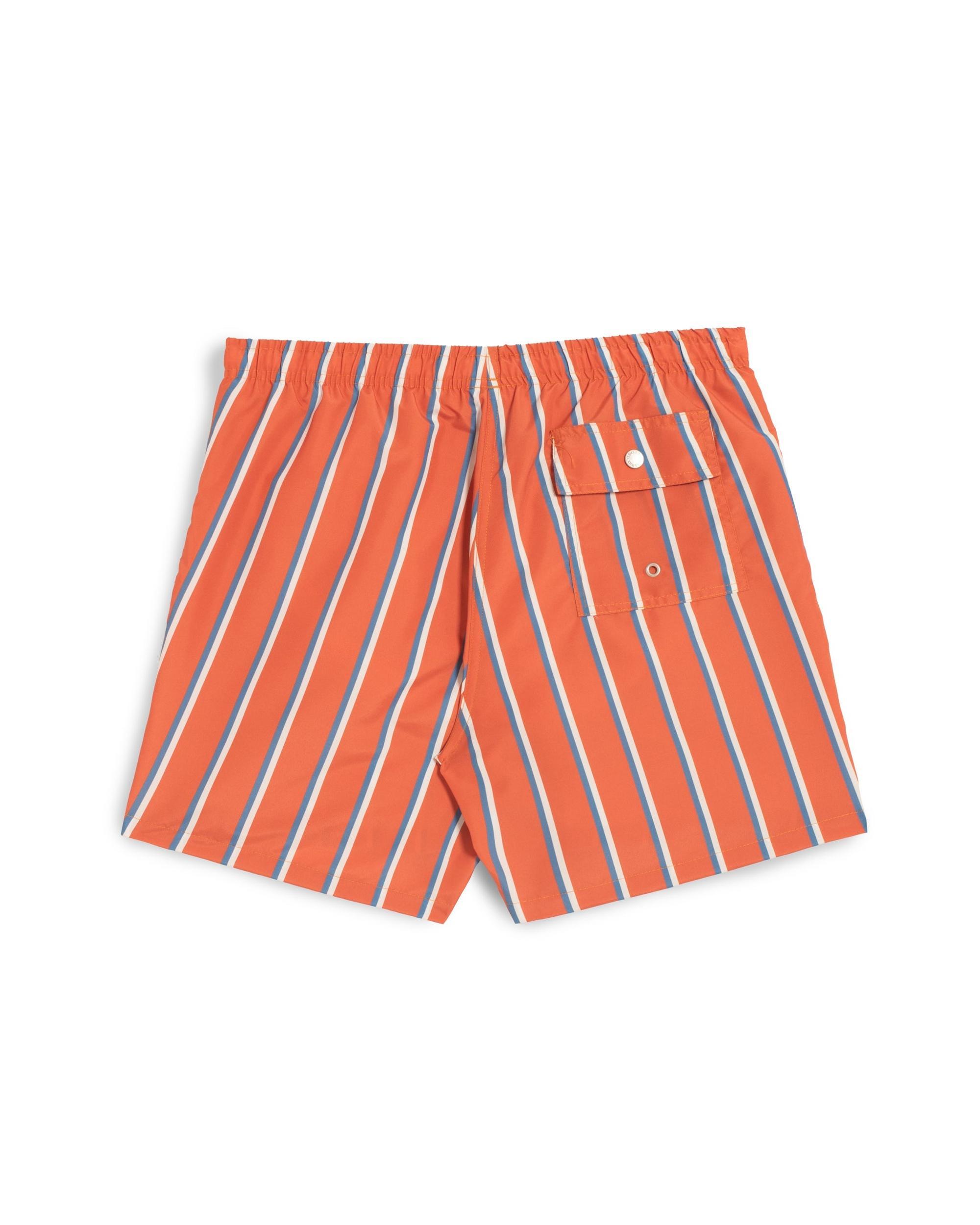 Blue & White Fine Stripe Swim Trunk Product Image