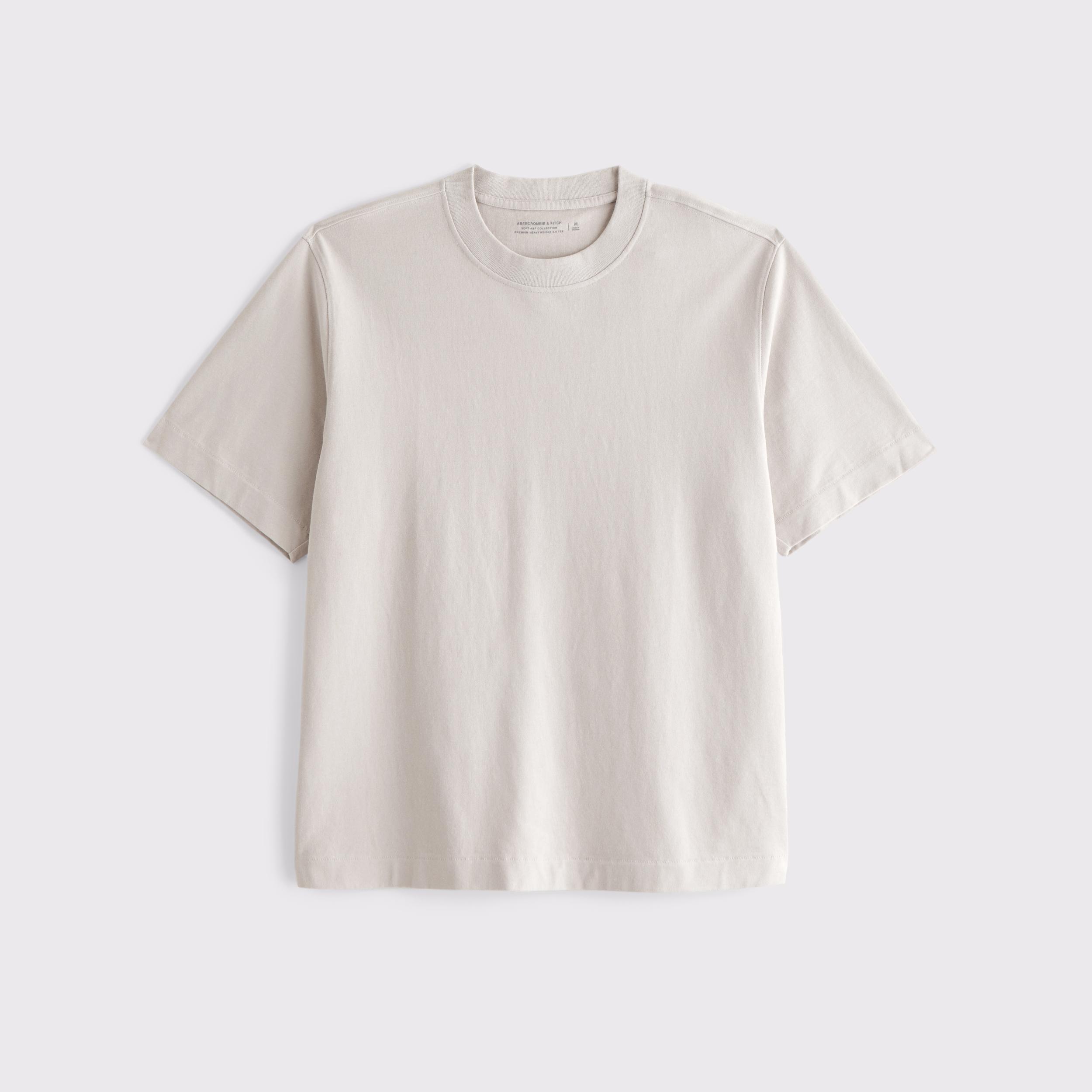 Premium Heavyweight 2.0 Tee Product Image