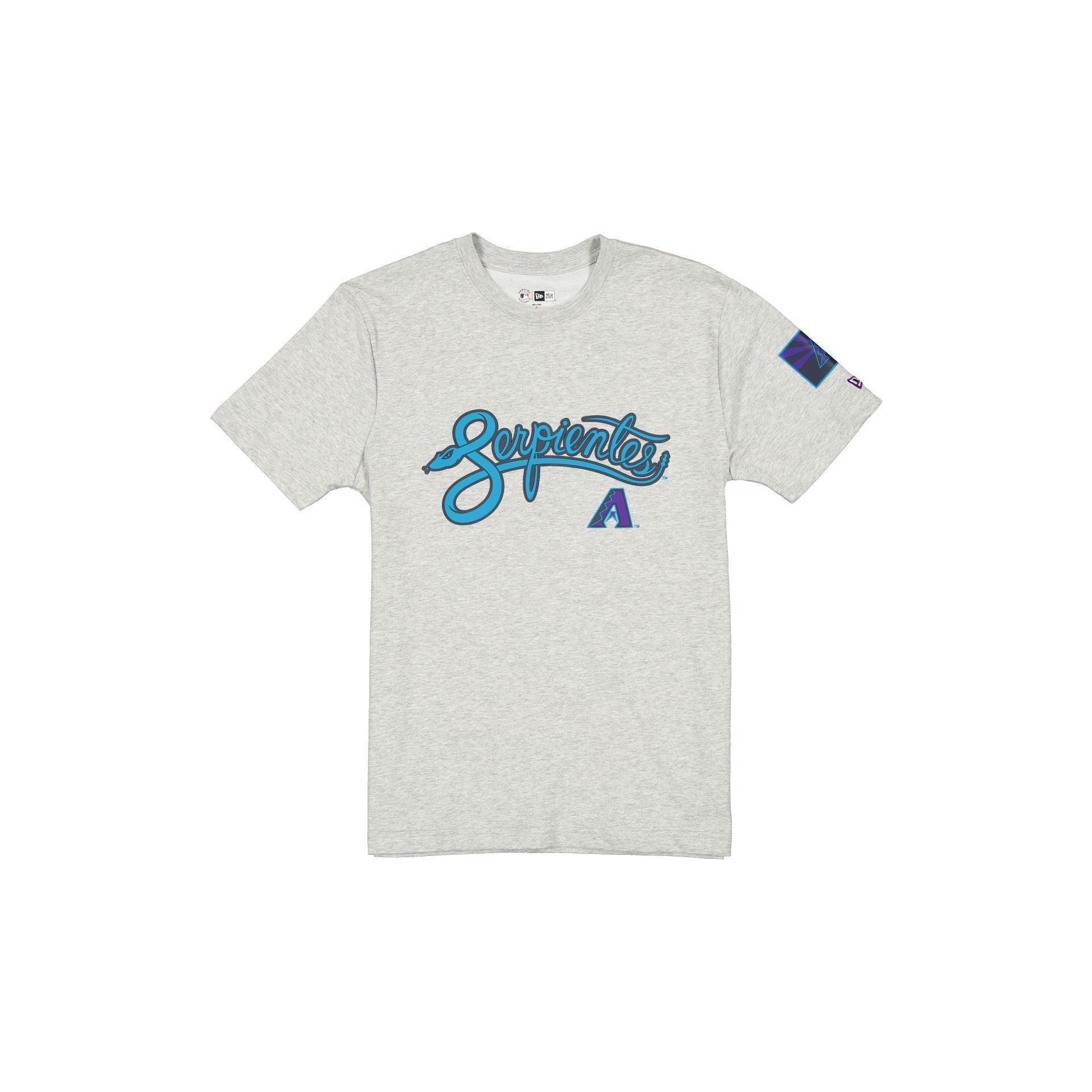 Boston Red Sox City Connect Gray T-Shirt Male Product Image