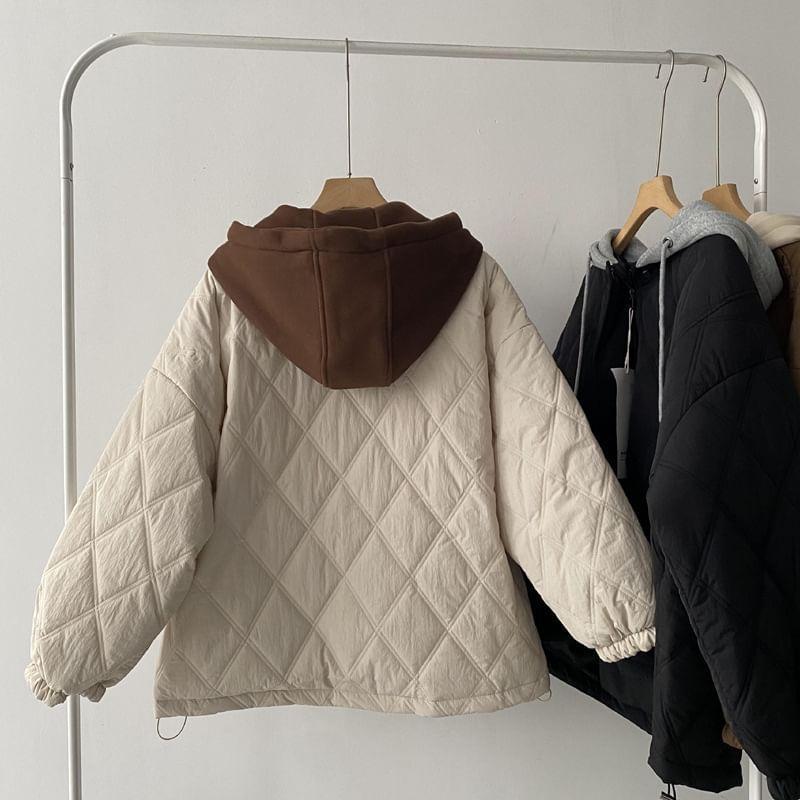 Hooded Quilted Zip Jacket Product Image