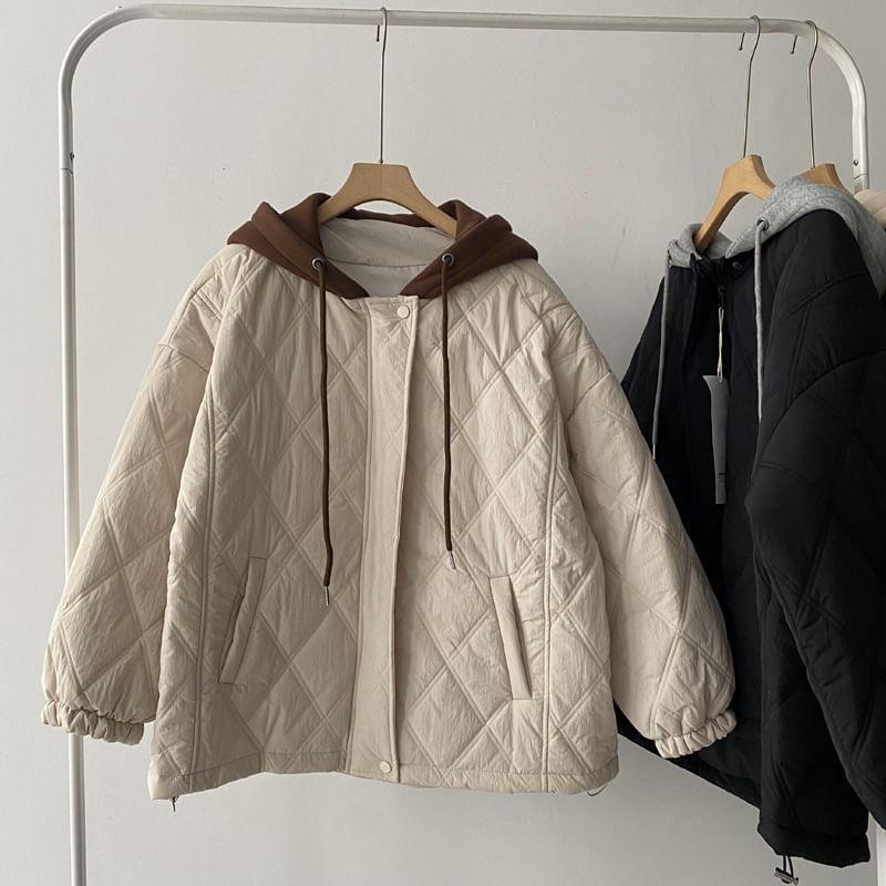 Hooded Quilted Zip Jacket Product Image