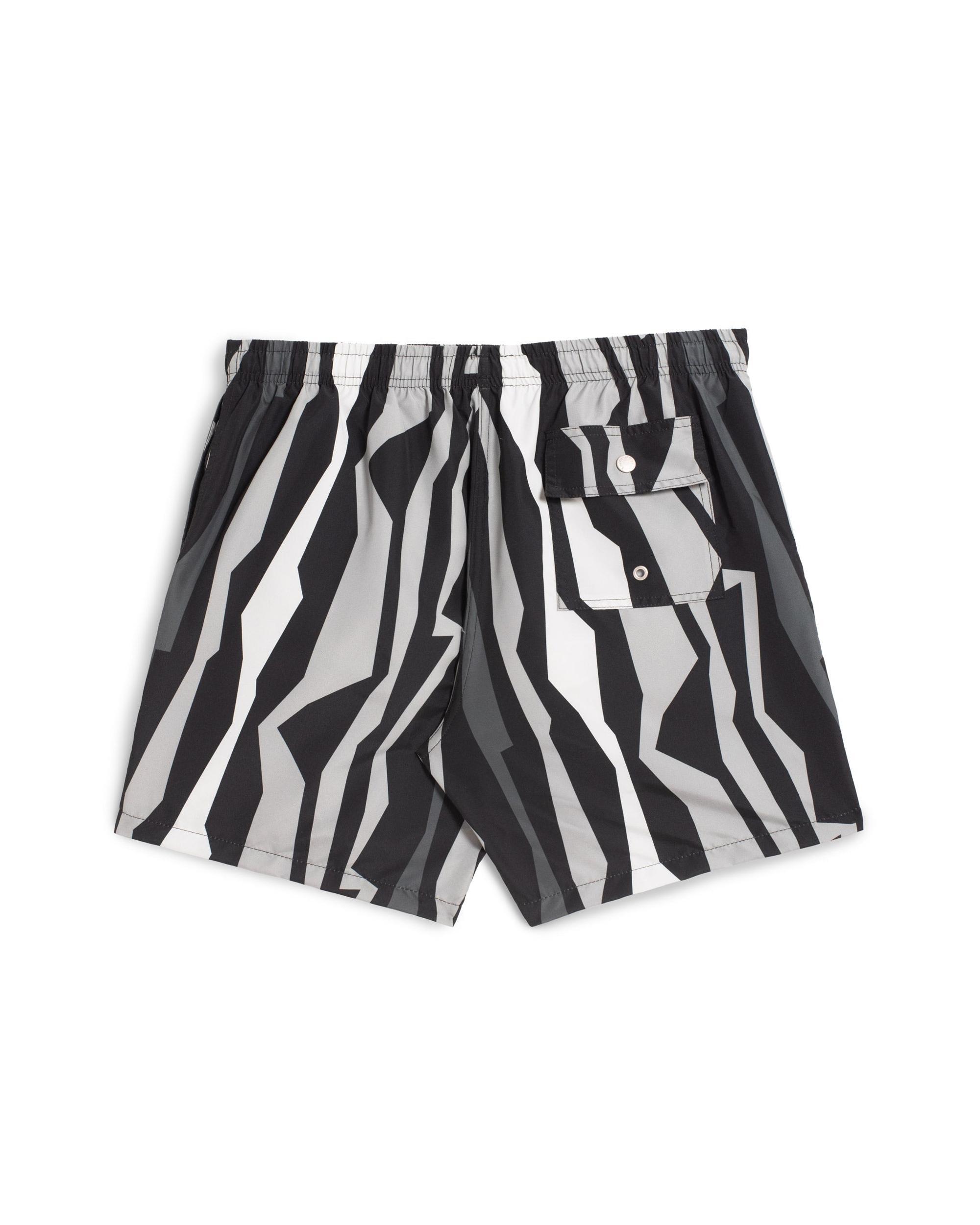 Graphite Coastline Swim Trunk Product Image