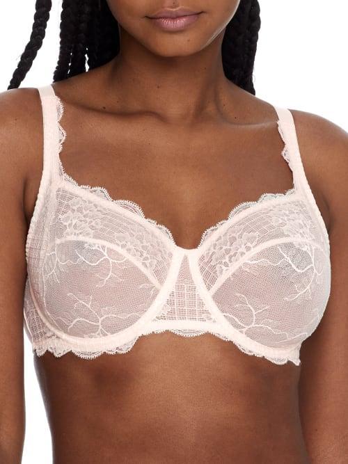 Reve Side Support Bra Product Image