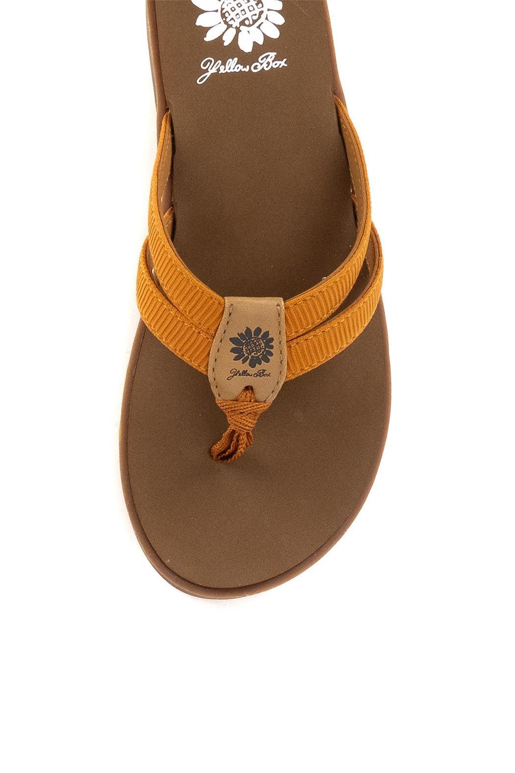 Femmie Flip Flop Product Image