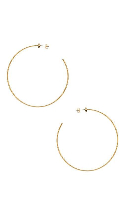 Starlet Hoops Jenny Bird Product Image