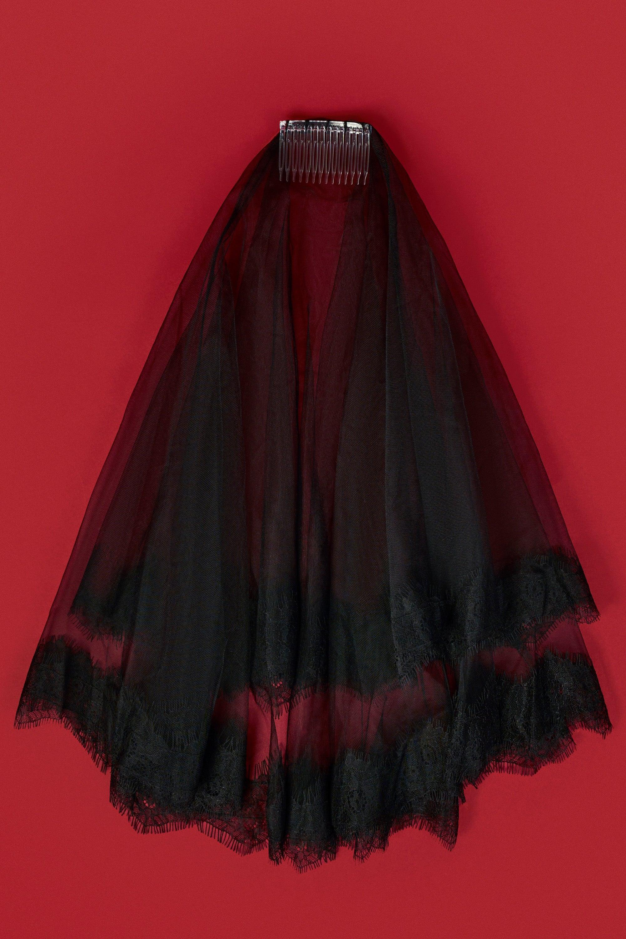 Lace-Trim Veil in Black Product Image