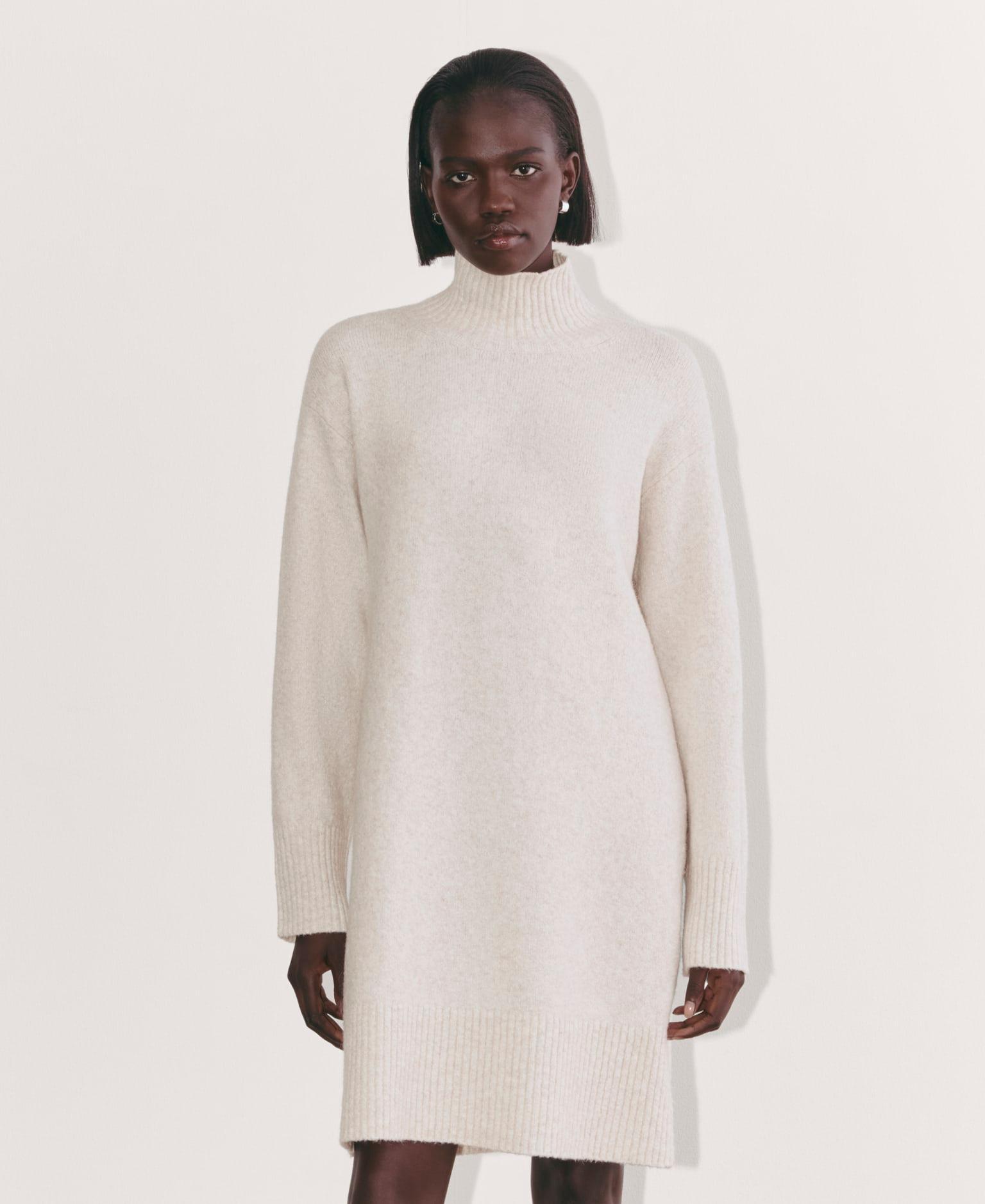 Womens Sweater Dress in Plush Cotton by Everlane Product Image