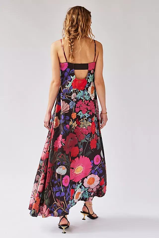 Botanical Maxi Dress Product Image