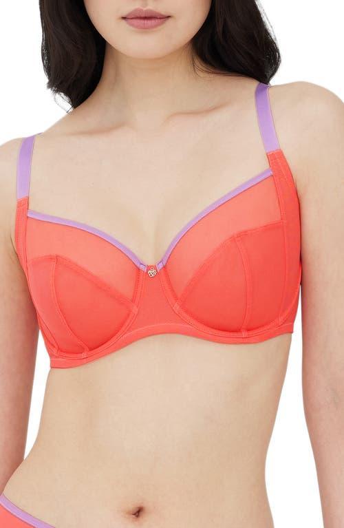 Spellbound Side Support Bra Product Image