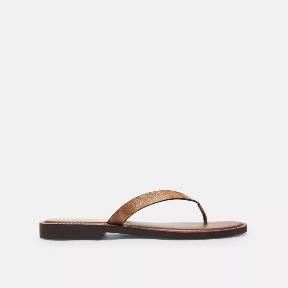 Brianna Flip Flop In Signature Canvas Product Image