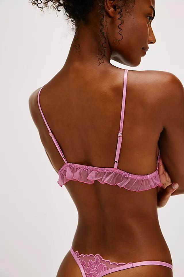 Charlotte Triangle Bralette Product Image