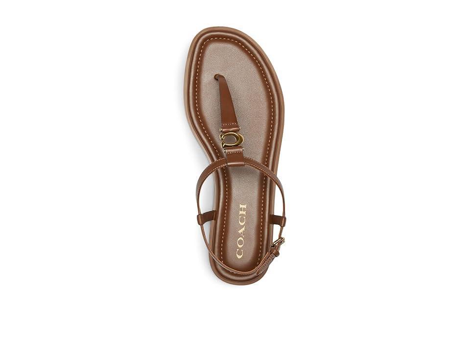 COACH Jessica Sandals (Saddle) Women's Sandals Product Image