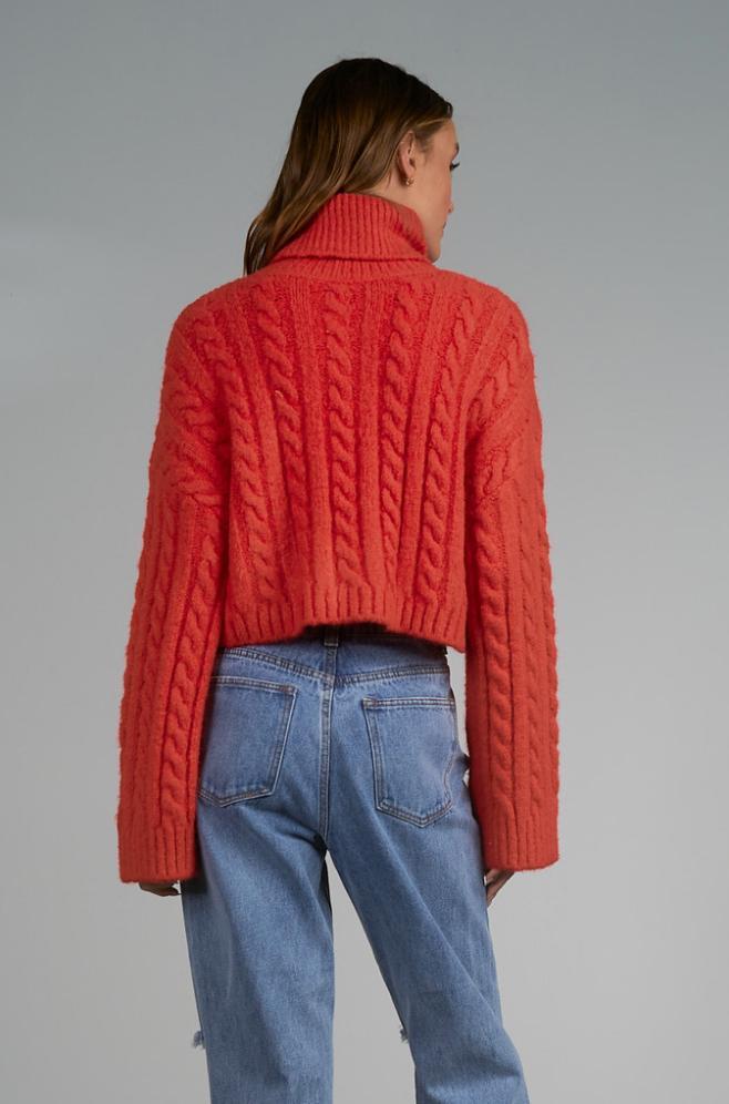 Katrina Turtleneck Sweater Product Image